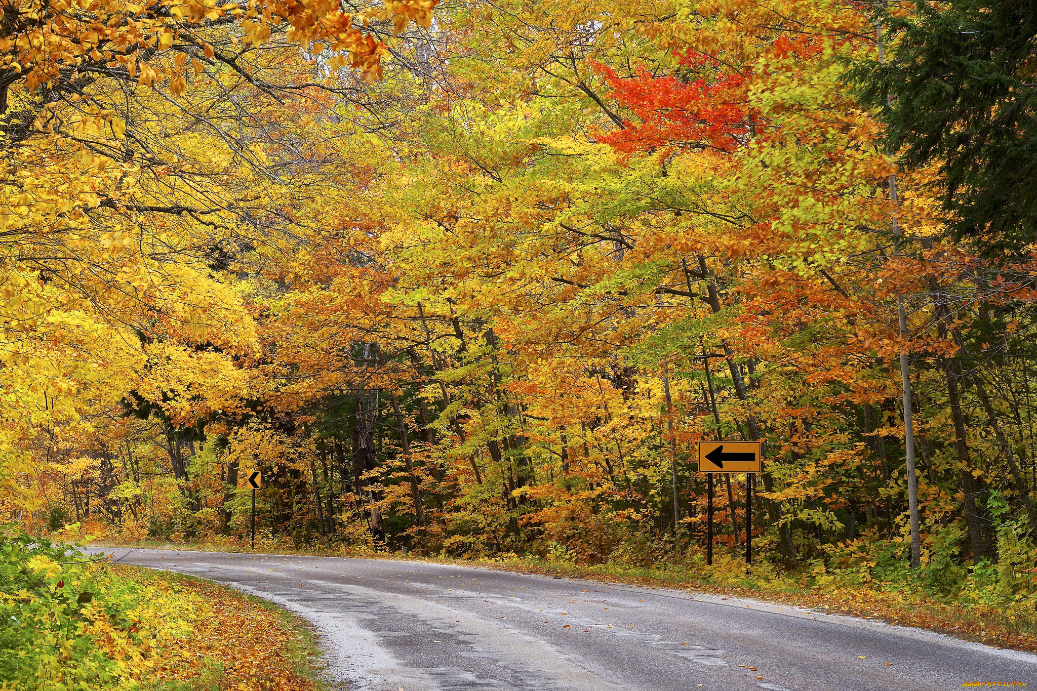 природа, дороги, простор