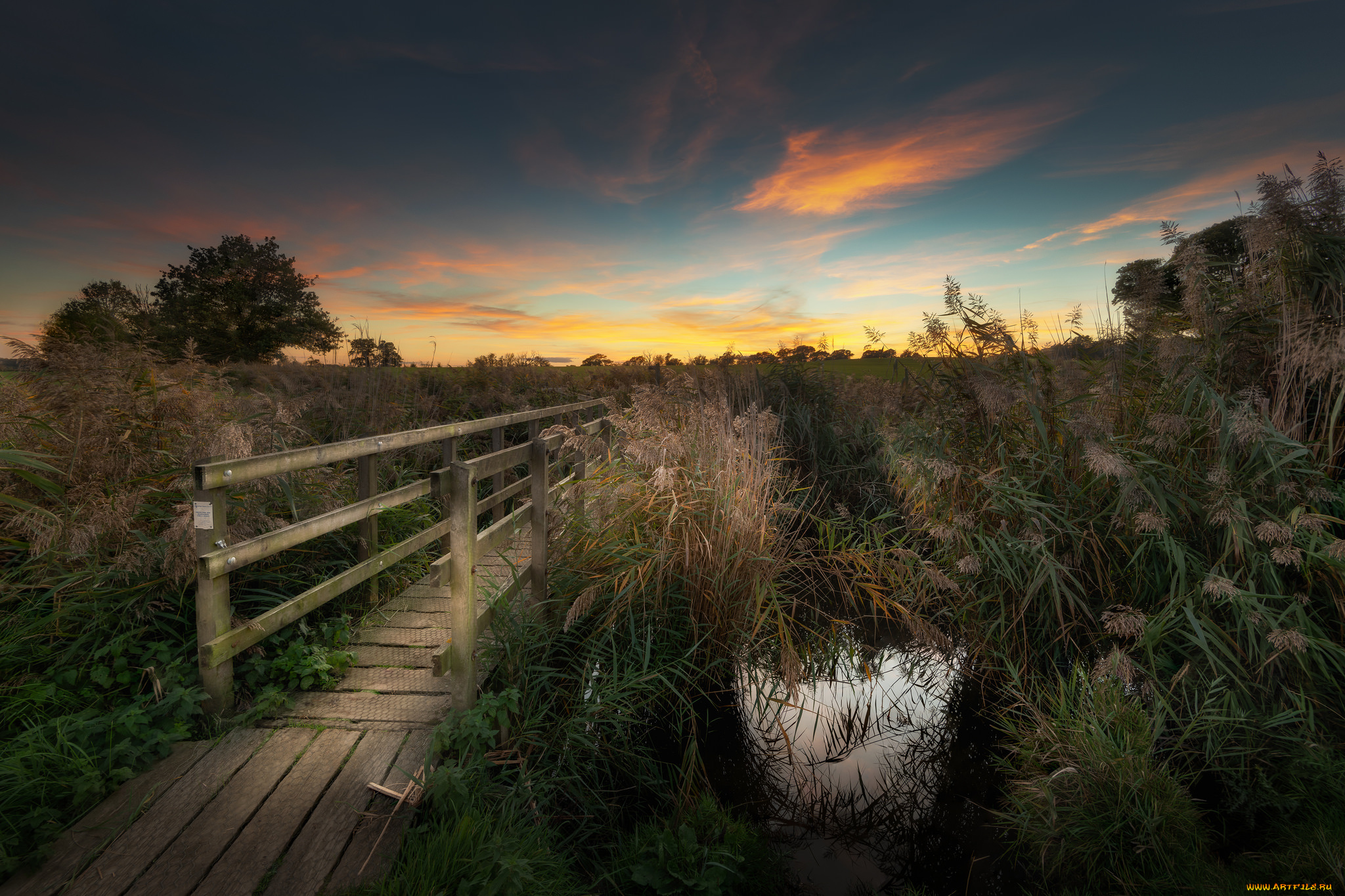 природа, дороги, простор