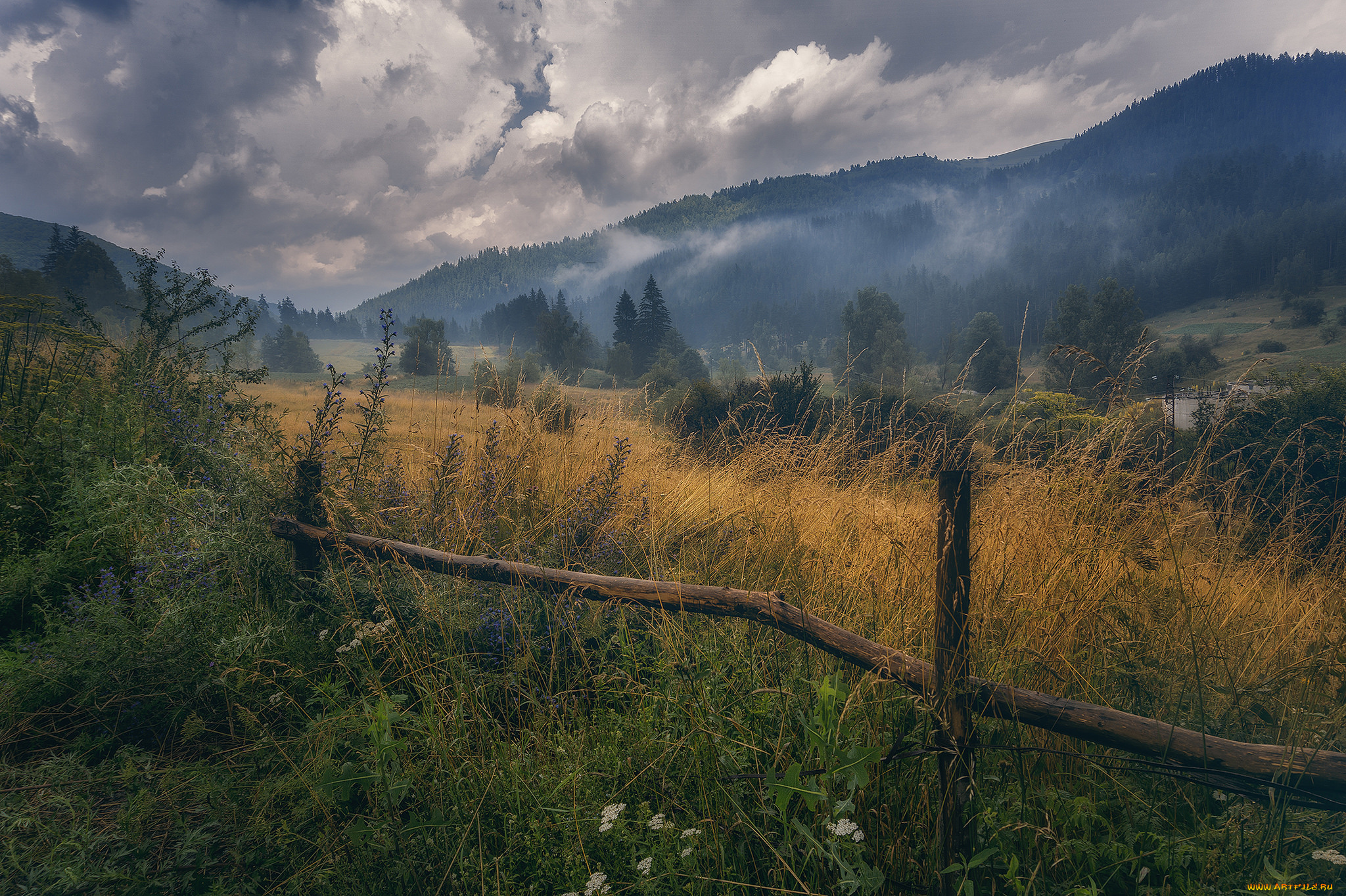 природа, пейзажи, простор