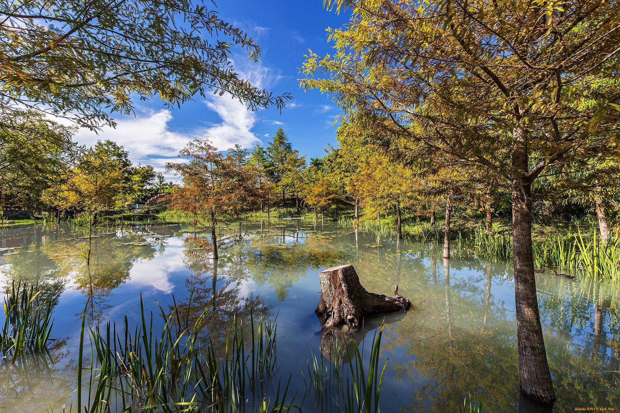 природа, реки, озера, простор