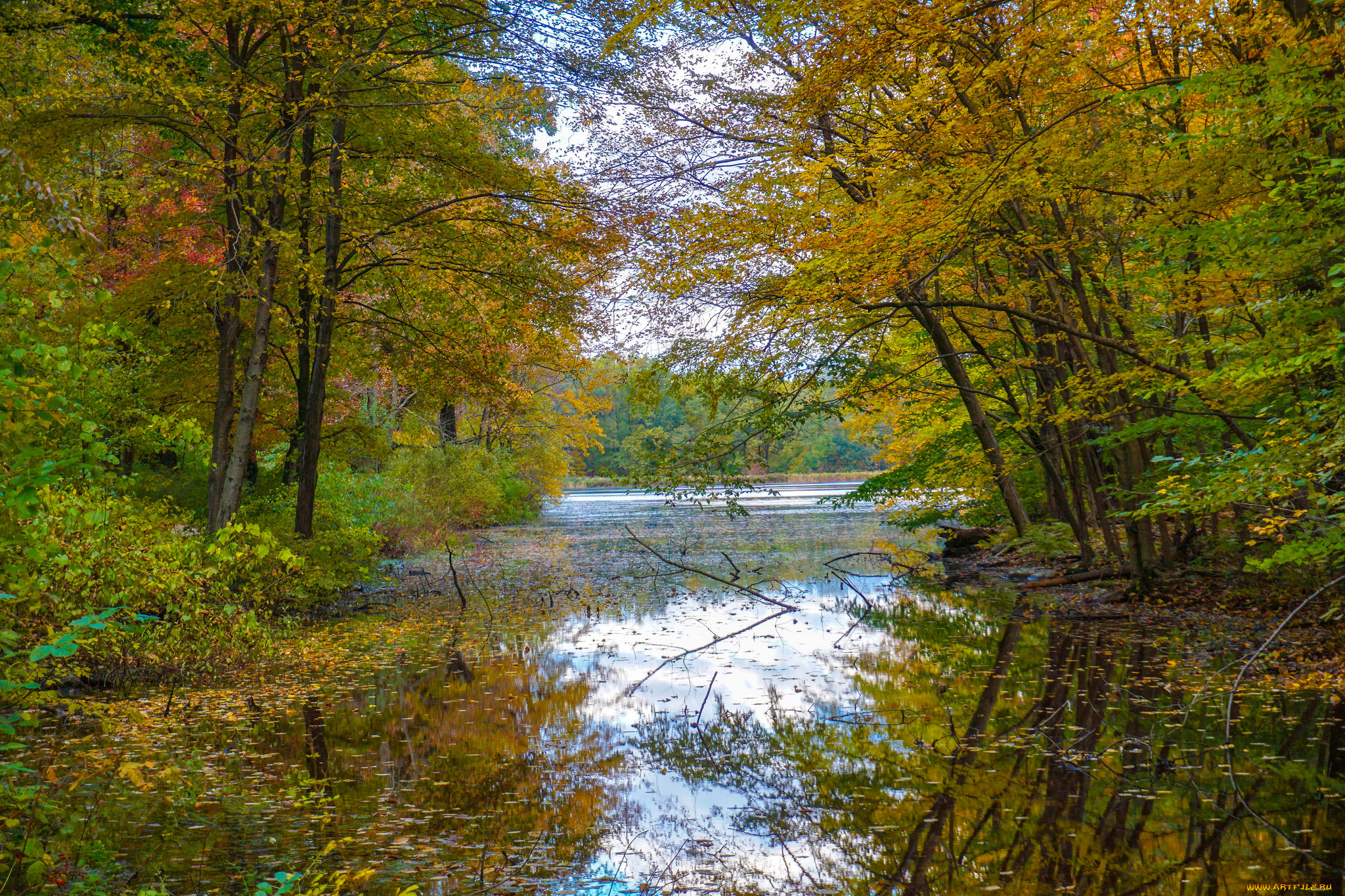 природа, реки, озера, простор