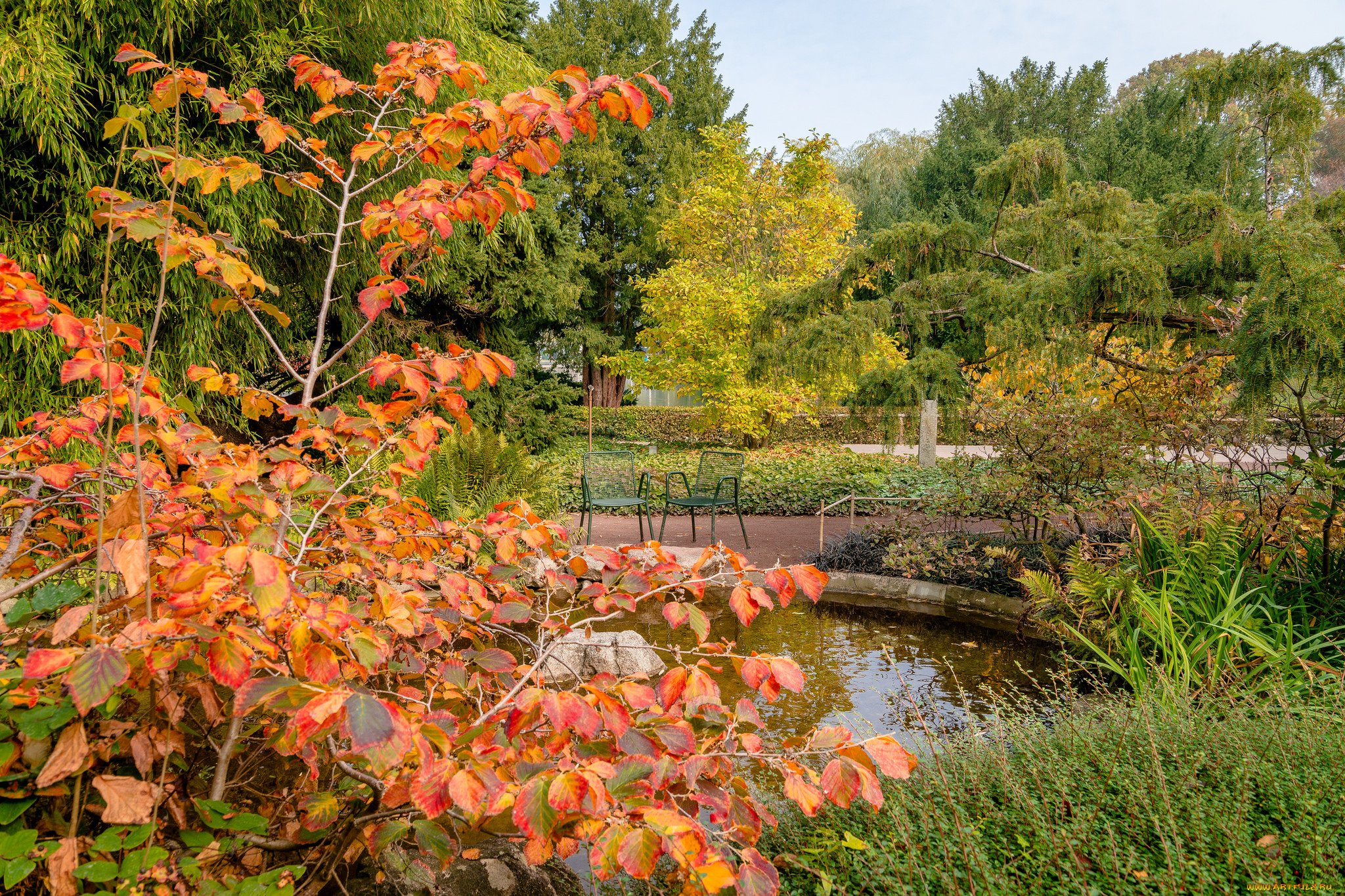 природа, реки, озера, простор