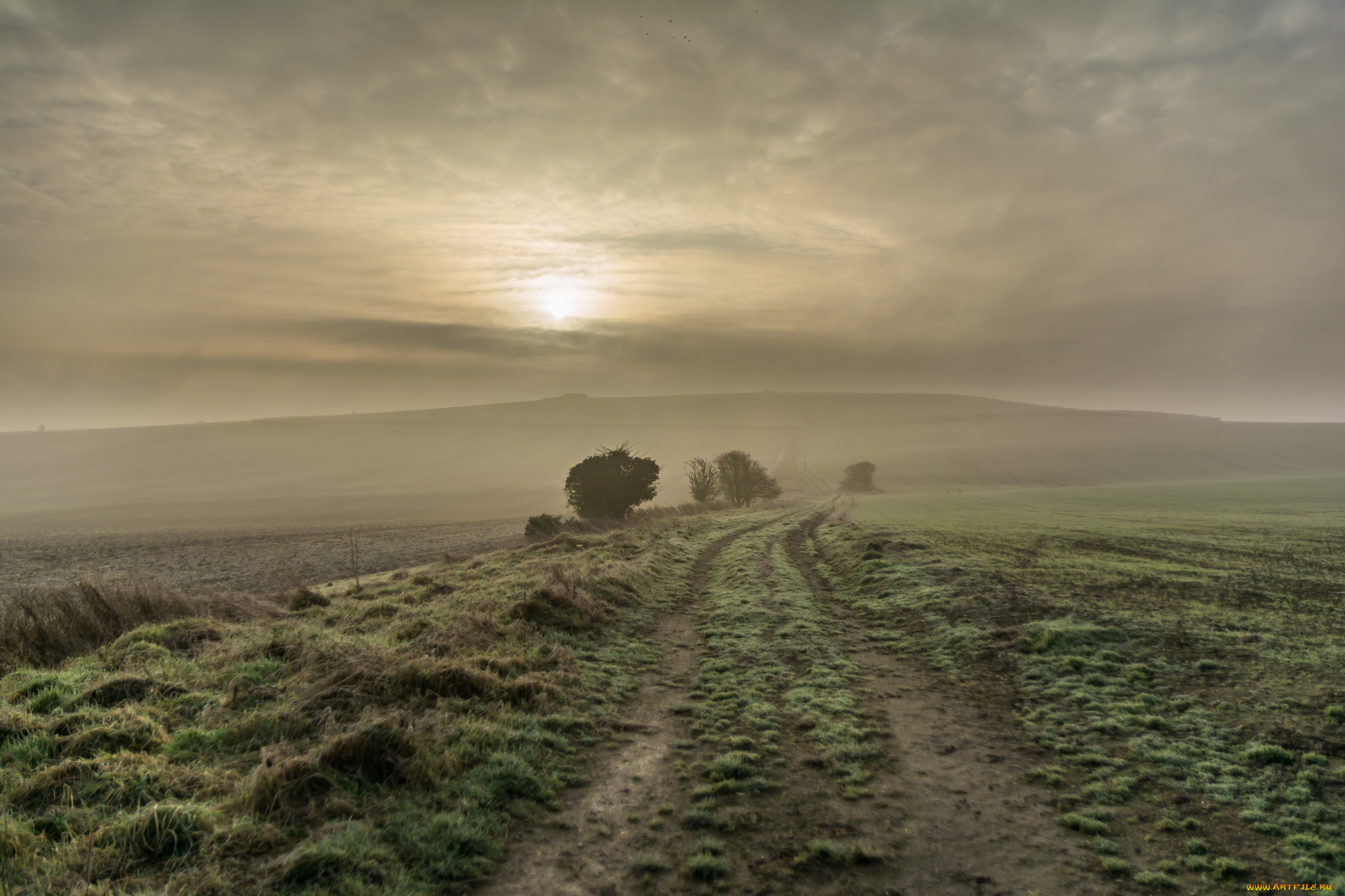 природа, восходы, закаты, простор