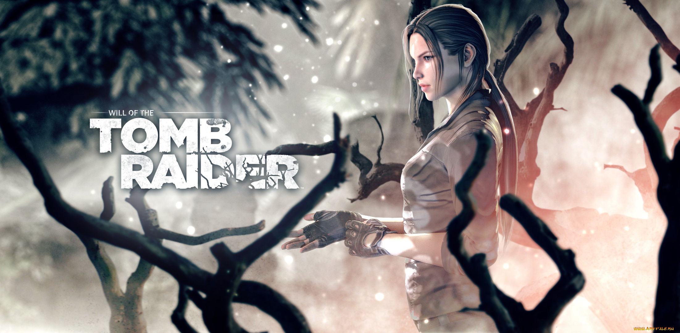 видео, игры, tomb, raider, , other, девушка, фон