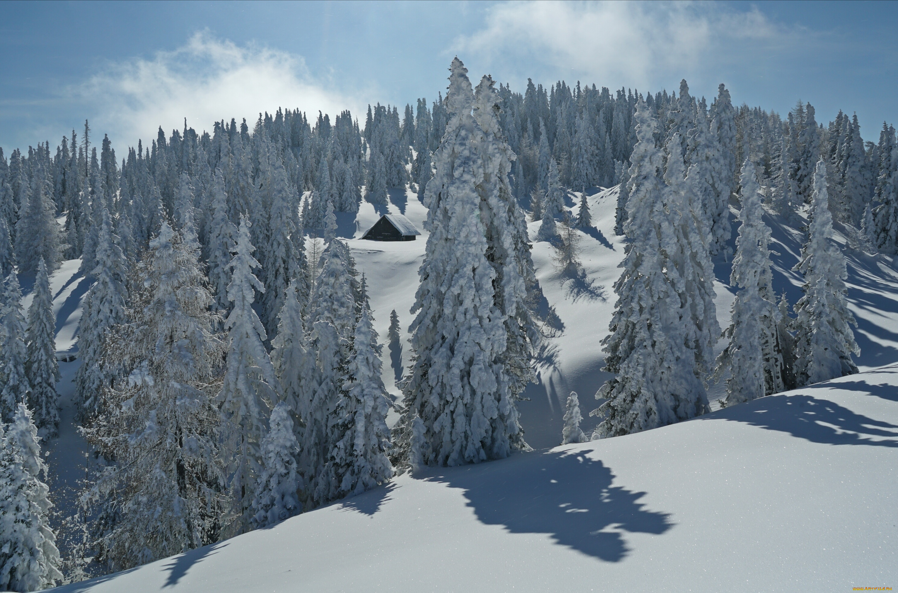 природа, зима, домик, ели, деревья, снега, холмы, пейзаж