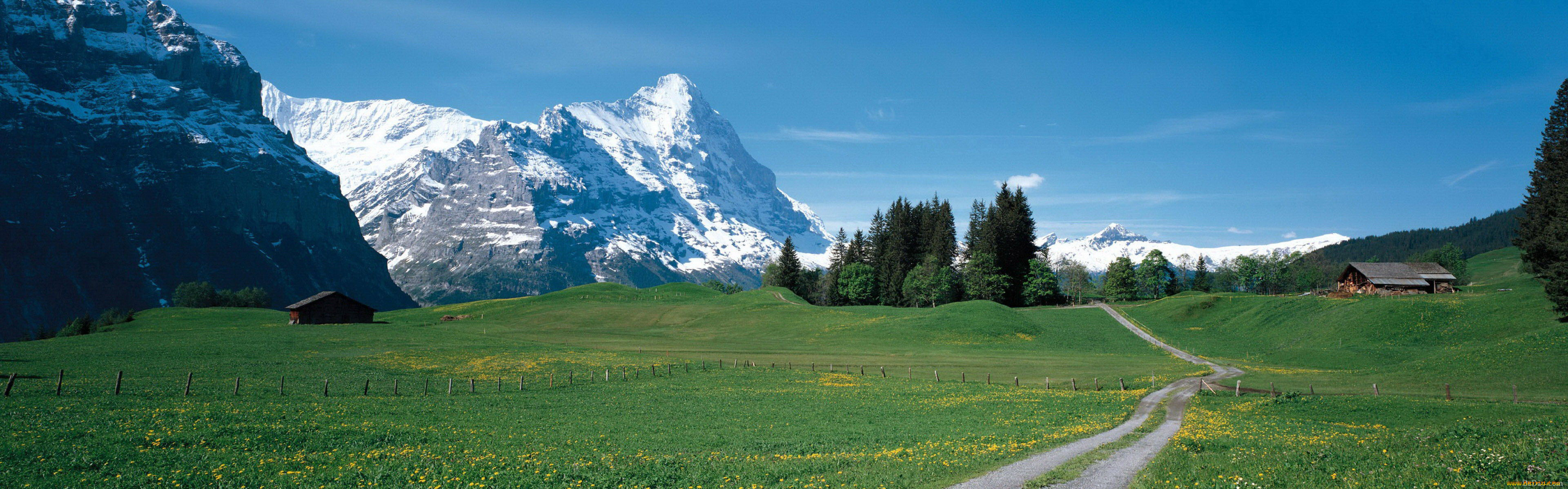 природа, луга, дорога, деревья, сараи, горы