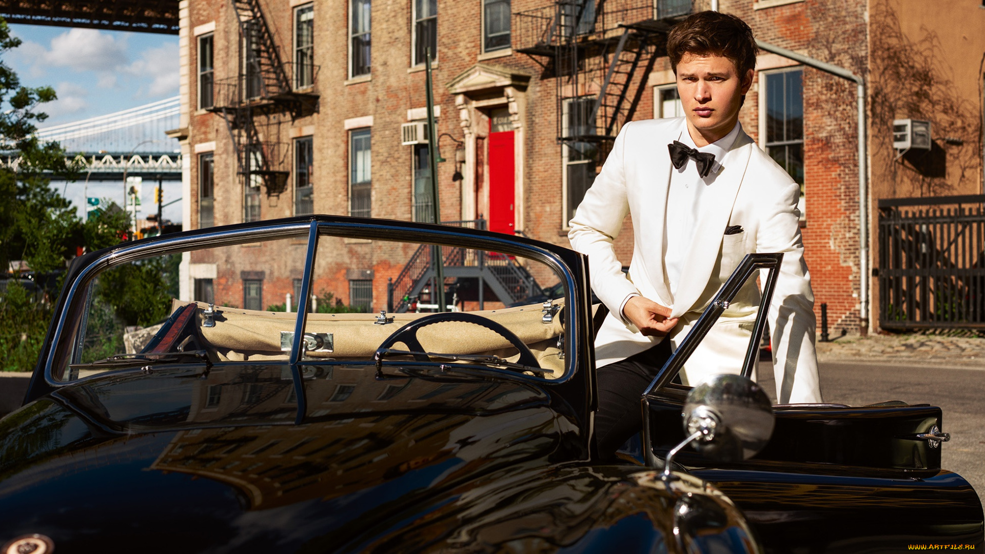 ansel, elgort, мужчины, ansel, elgort
