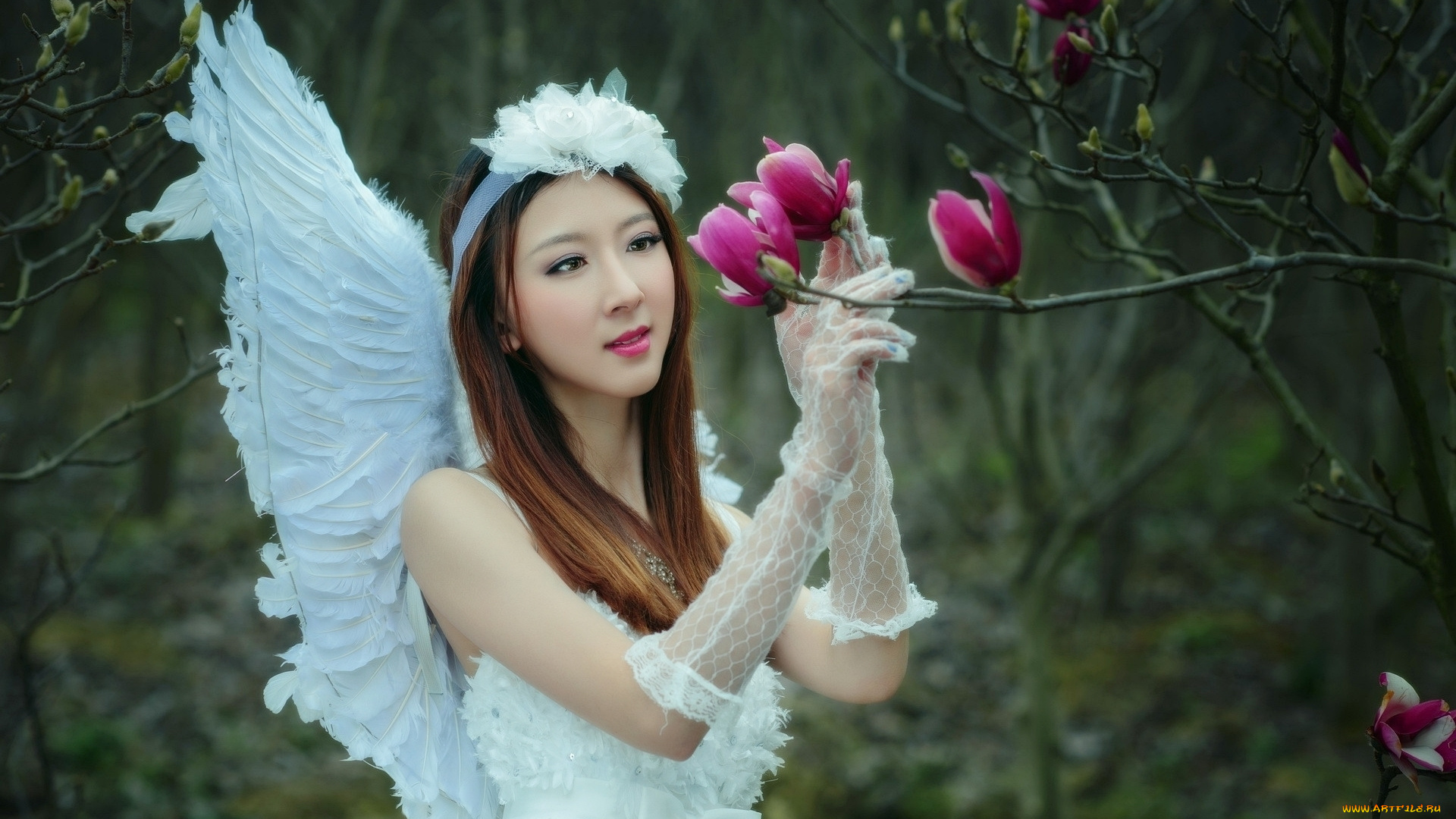 девушки, -, азиатки, магнолия, азиатка, перчатки, кружева, крылья