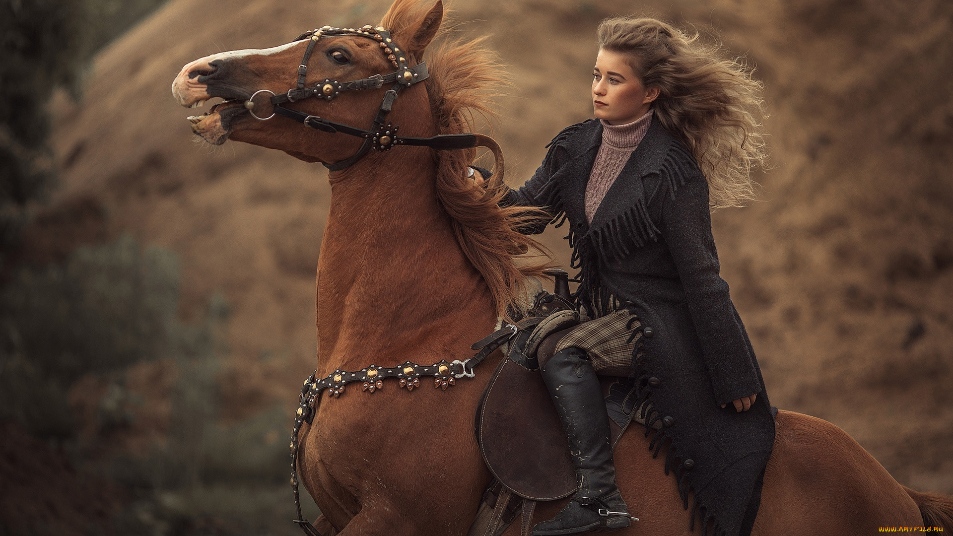 девушки, -, брюнетки, , шатенки, наездница, шатенка, лошадь