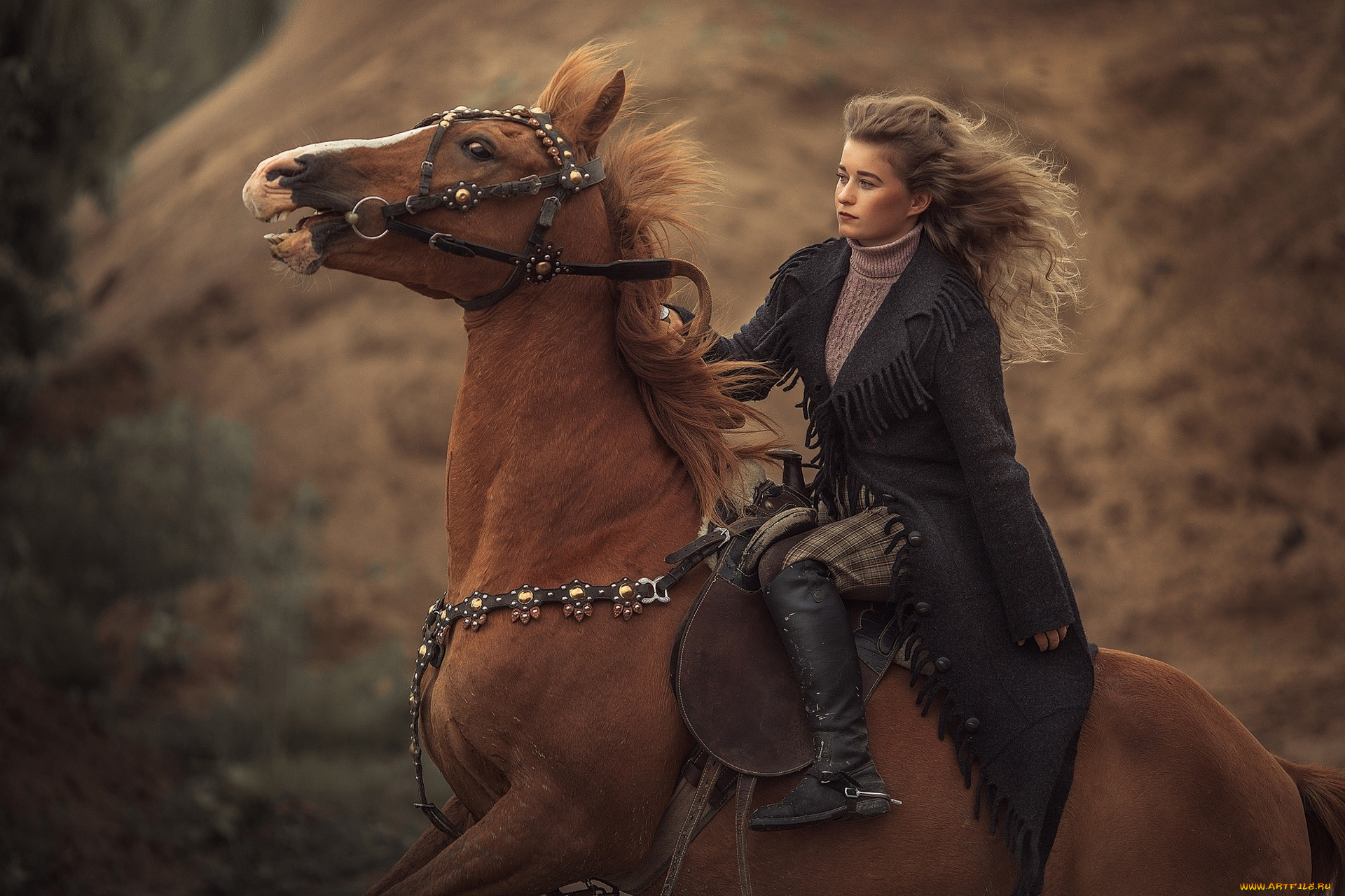 девушки, -, брюнетки, , шатенки, наездница, шатенка, лошадь