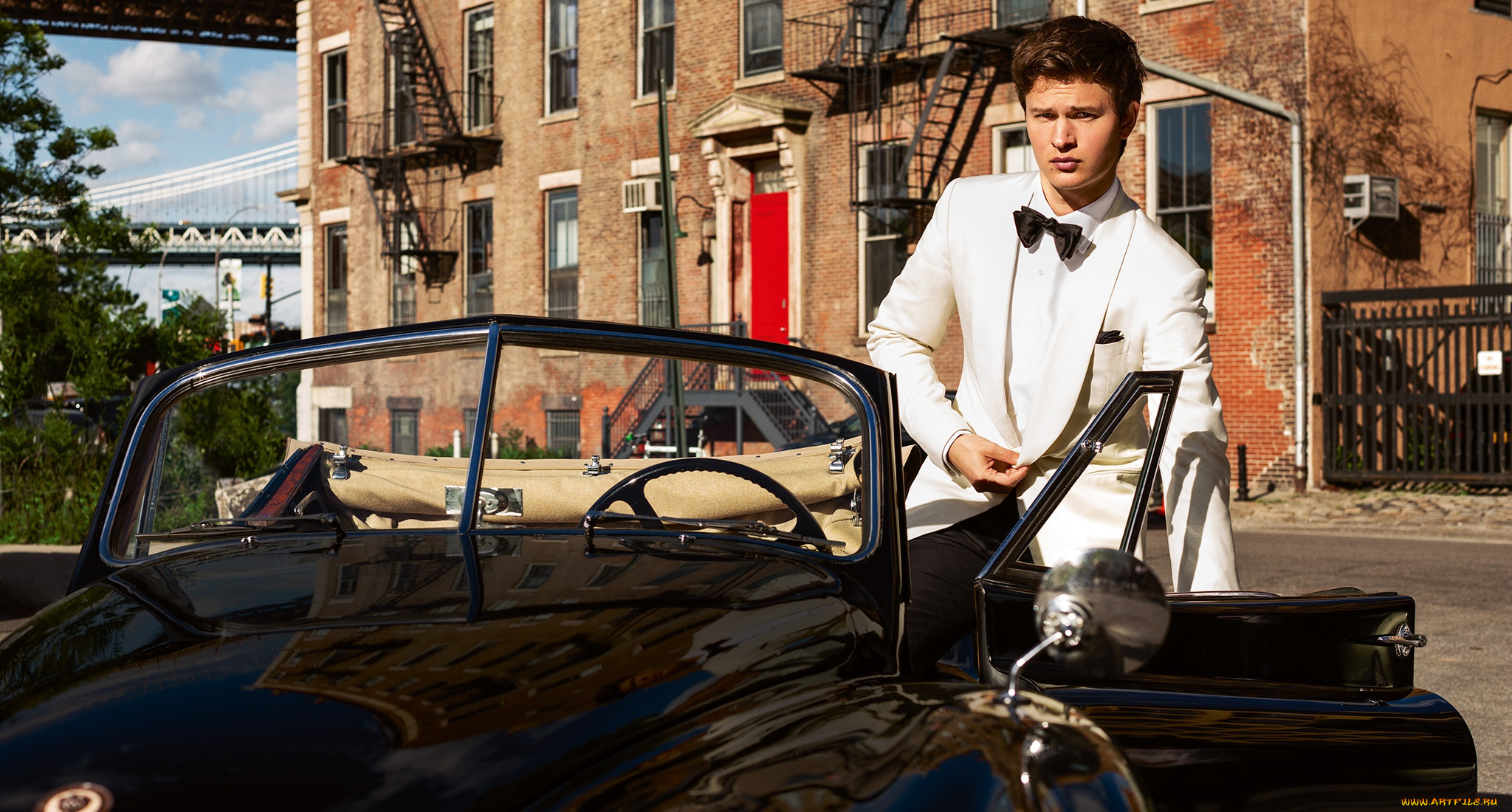 ansel, elgort, мужчины, ansel, elgort