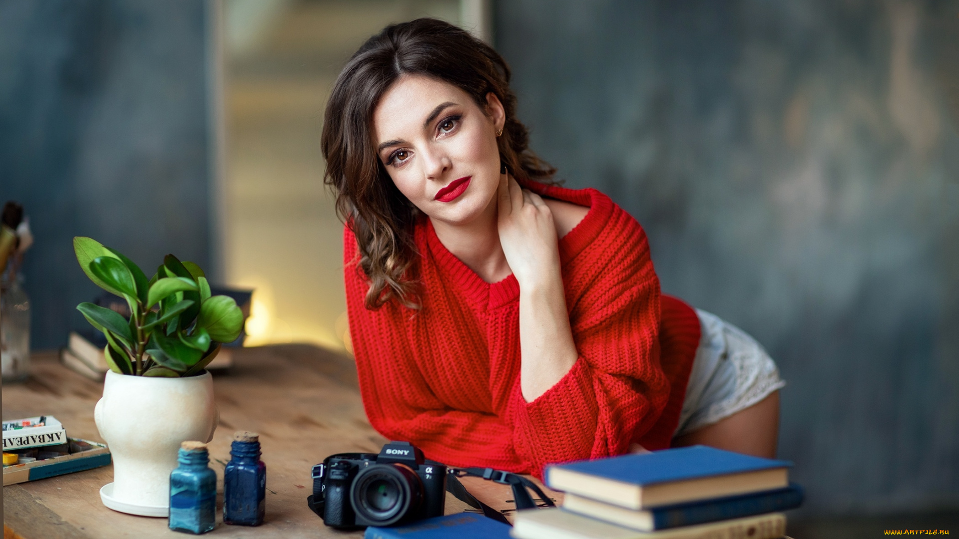 девушки, -, брюнетки, , шатенки, фотоаппарат, книги, брюнетка, поза