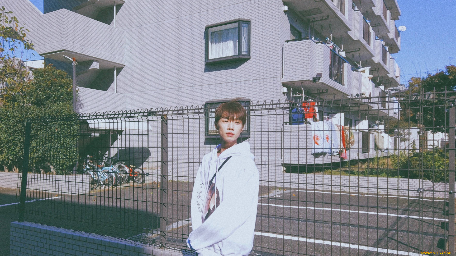 мужчины, song, ji, yang, сун, цзиян, китайский, актёр, певец