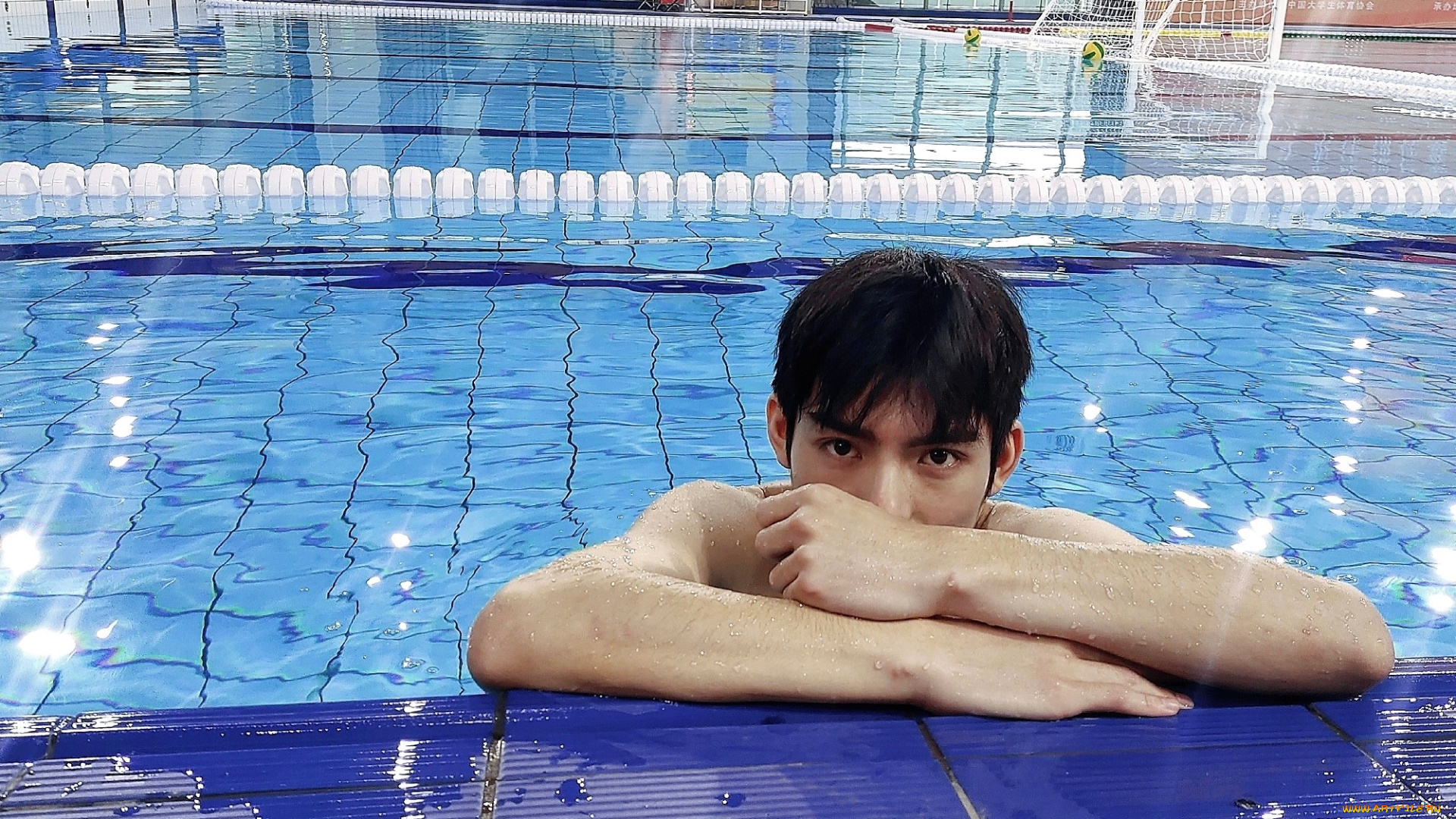 мужчины, wang, hao, xuan, актер, лицо, бассейн