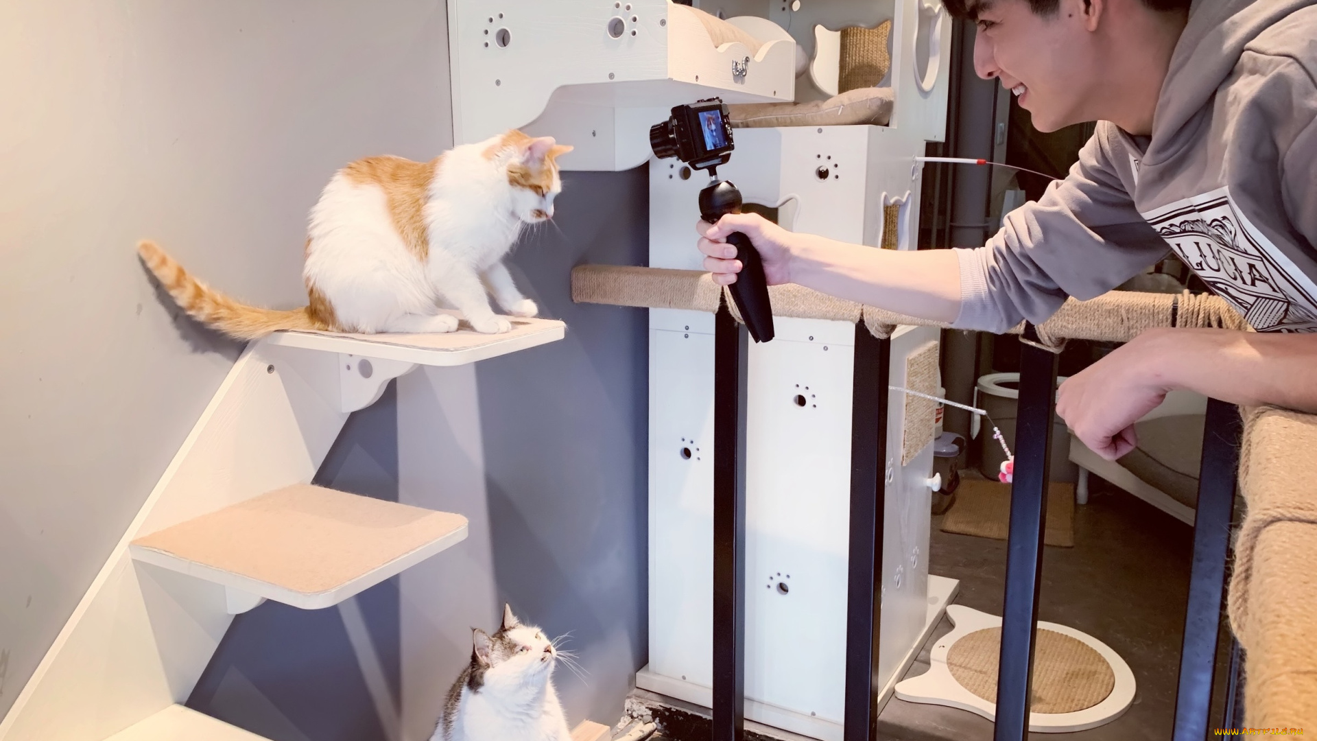 мужчины, wang, hao, xuan, ван, хаосюань, wang, hao, xuan