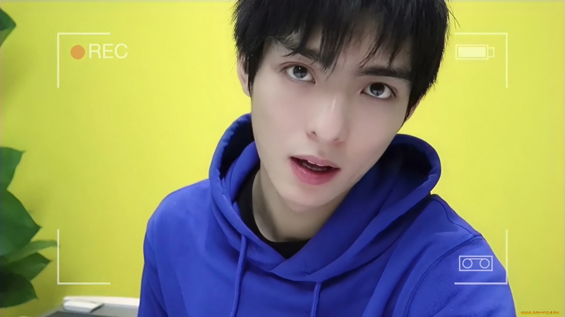 мужчины, wang, hao, xuan, ван, хаосюань, wang, hao, xuan