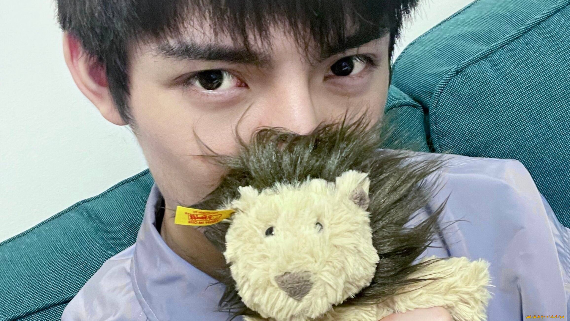 мужчины, wang, hao, xuan, ван, хаосюань, wang, hao, xuan