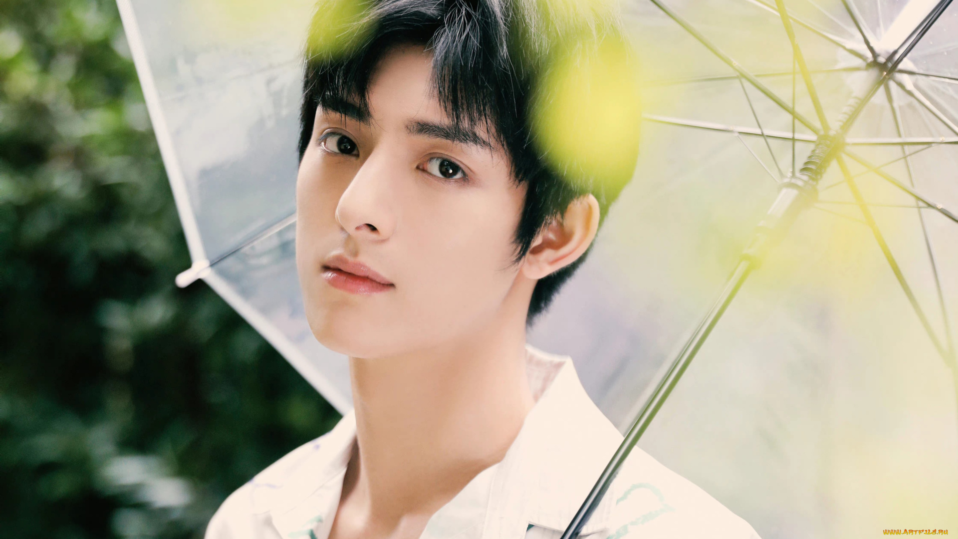 мужчины, wang, hao, xuan, ван, хаосюань, wang, hao, xuan