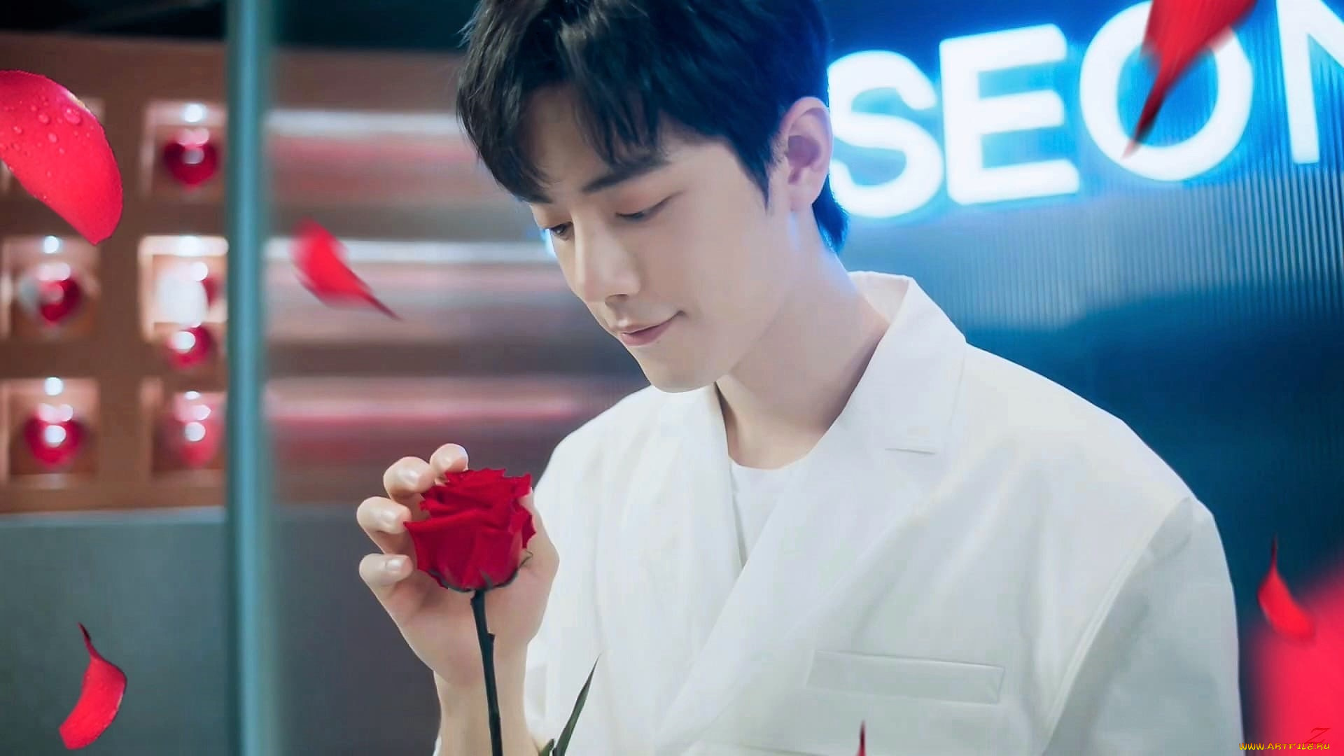 мужчины, xiao, zhan, актер, роза