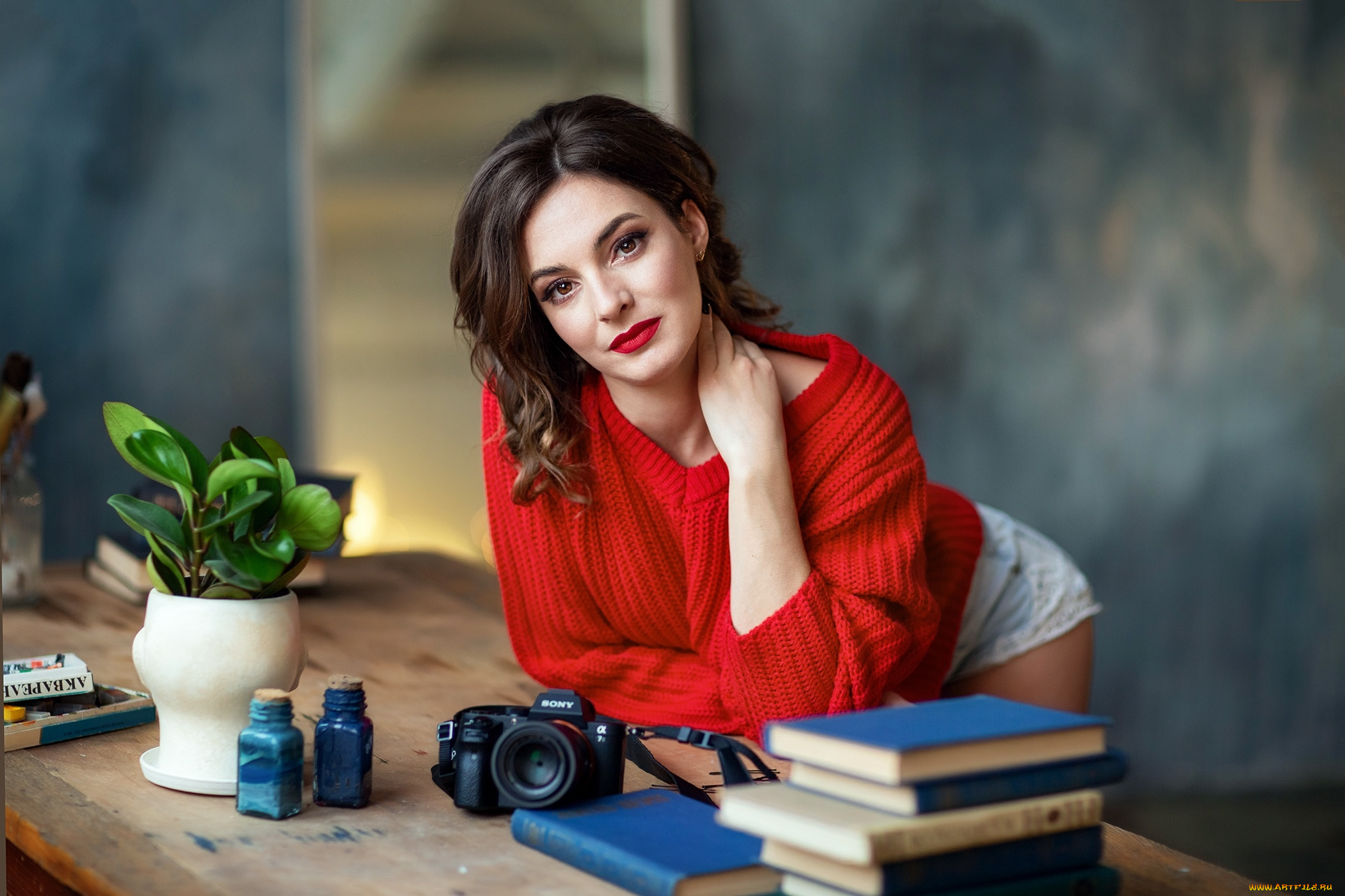 девушки, -, брюнетки, , шатенки, фотоаппарат, книги, брюнетка, поза