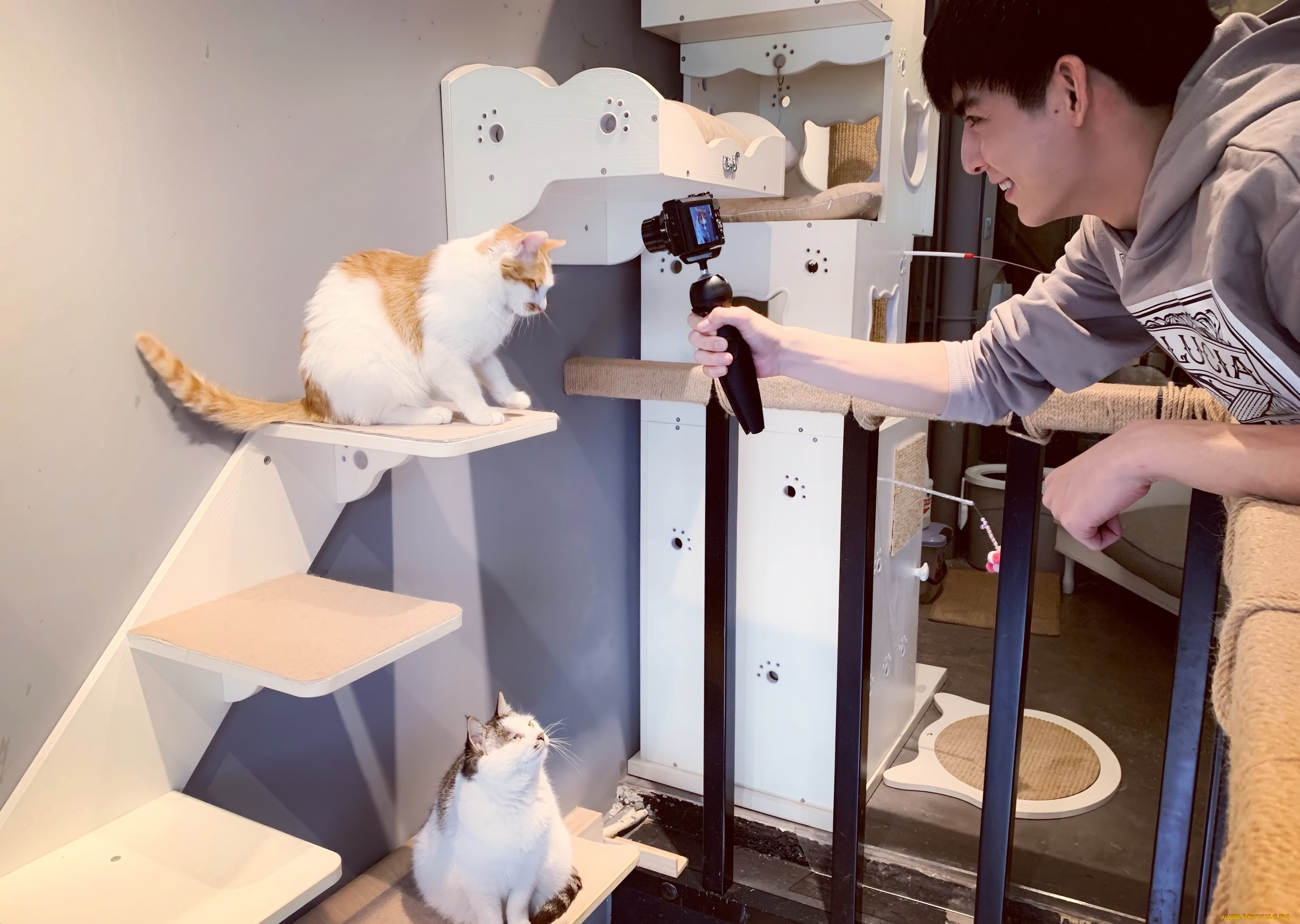 мужчины, wang, hao, xuan, ван, хаосюань, wang, hao, xuan