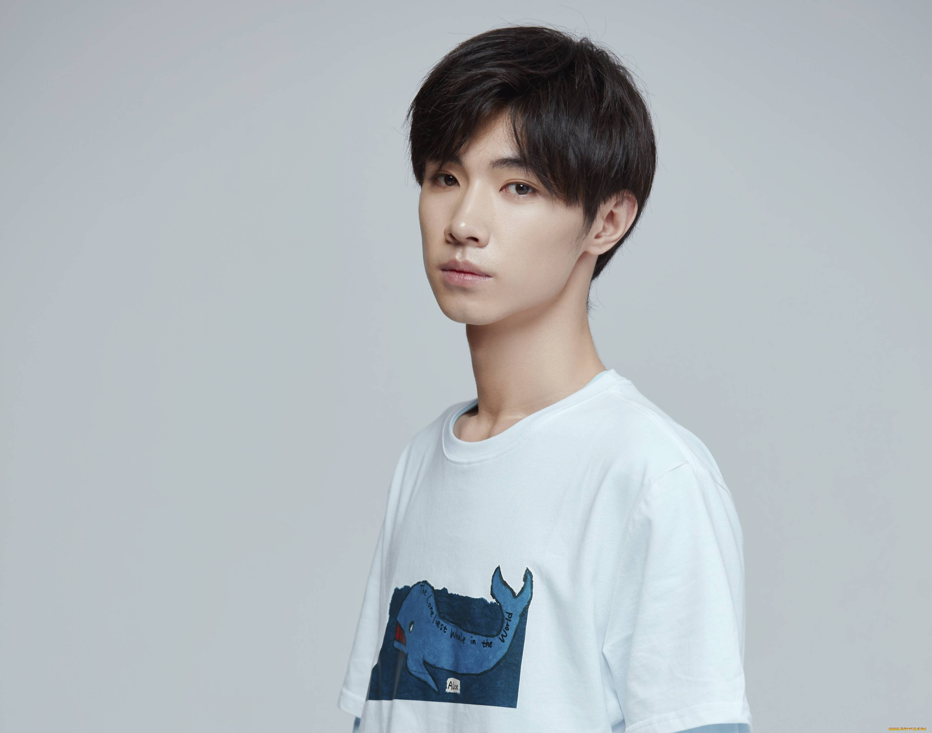 мужчины, song, ji, yang, сун, цзиян, китайский, актёр, певец