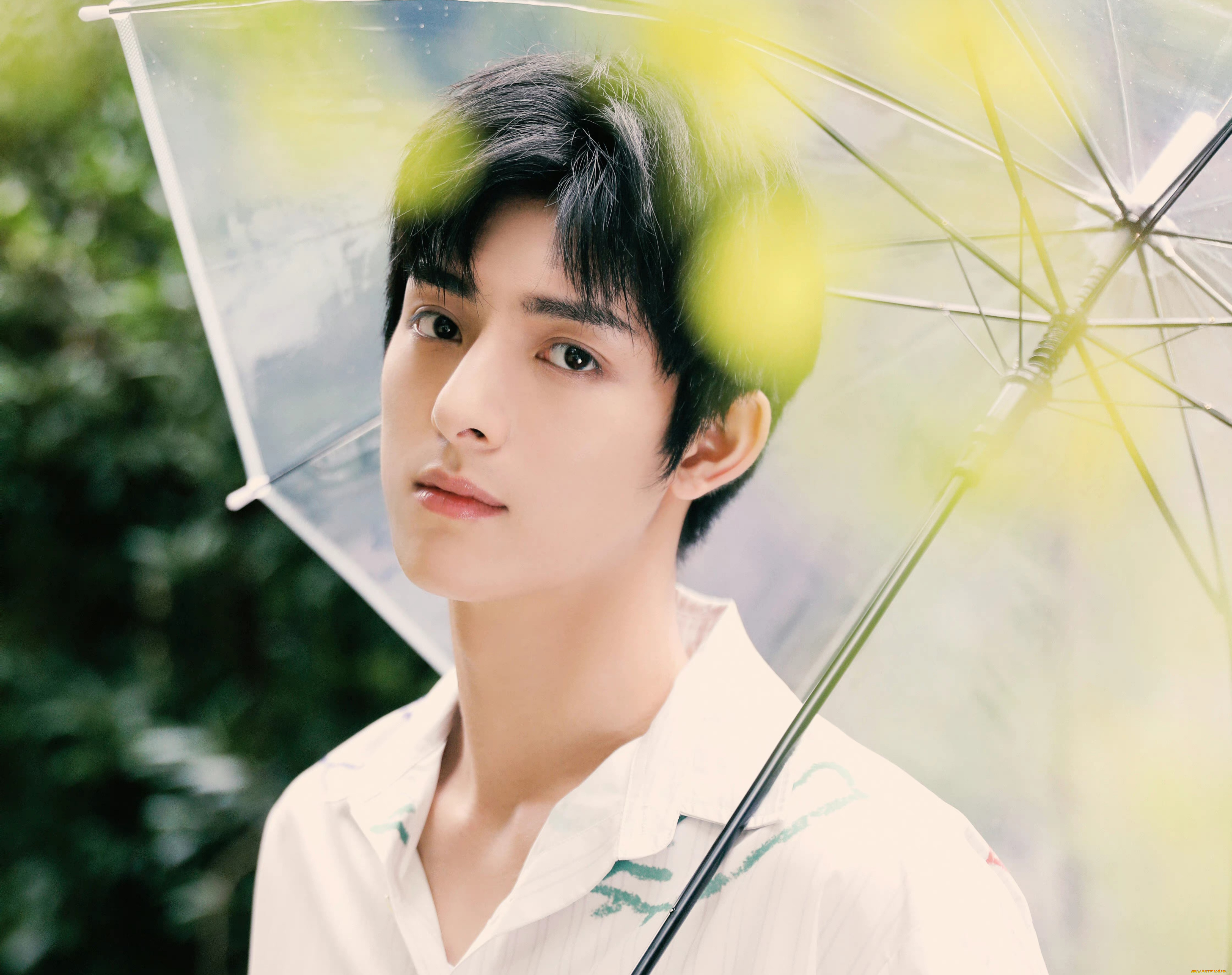 мужчины, wang, hao, xuan, ван, хаосюань, wang, hao, xuan