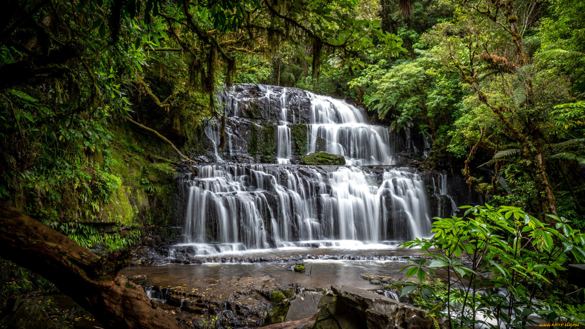 purakaunui, falls, new, zealand, природа, водопады, purakaunui, falls, new, zealand