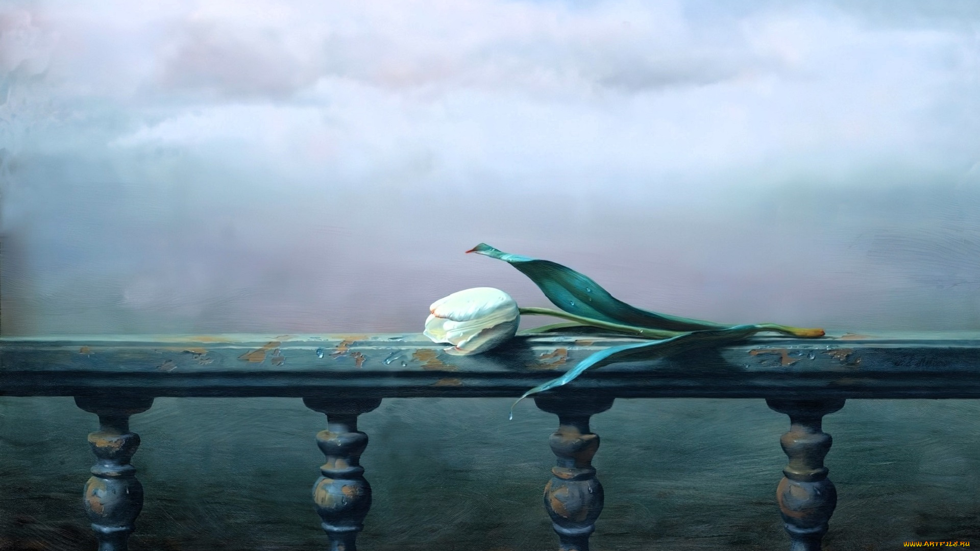 рисованное, алексей, антонов, тюльпан, цветок, перила