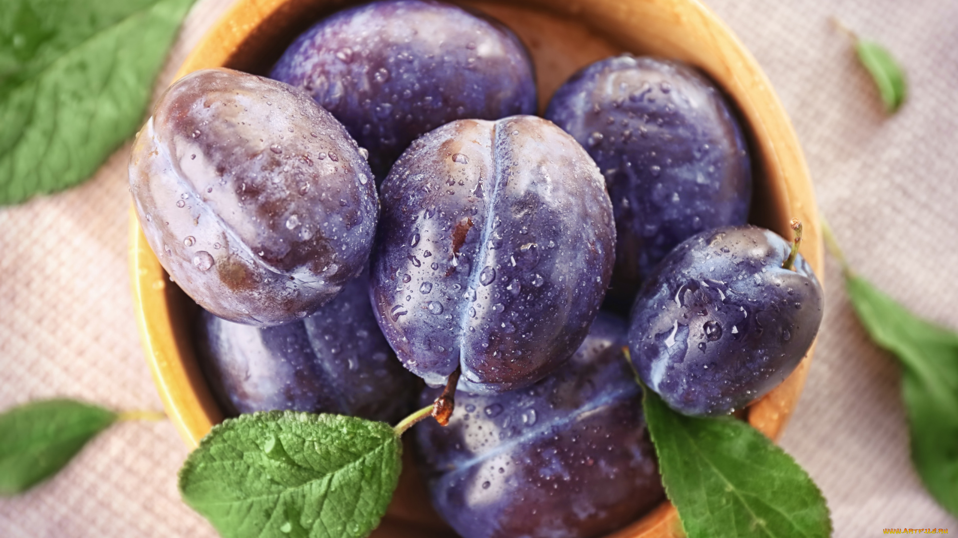 еда, персики, , сливы, , абрикосы, миска, сливы, синие, капли, макро