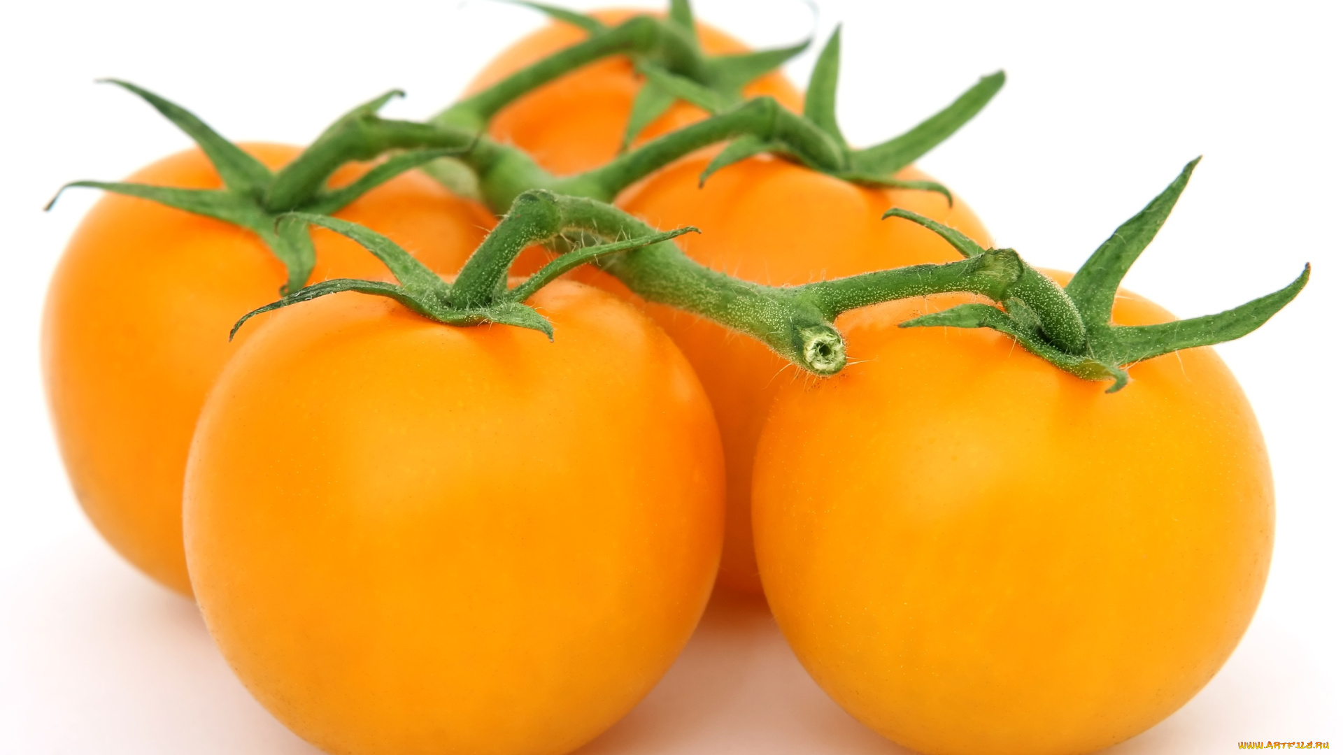 еда, помидоры, желтые, макро