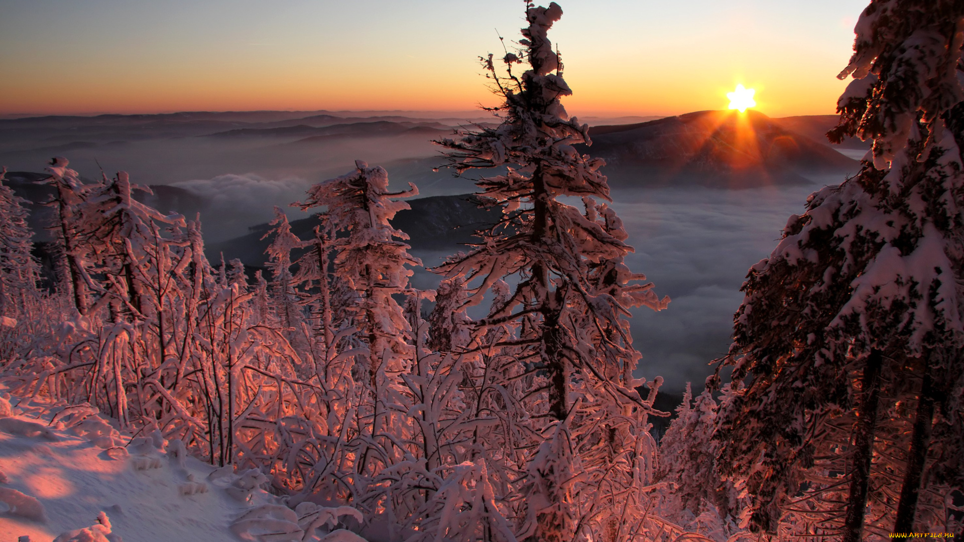 природа, зима, горы, лес, ёлки, снег, закат, солнце