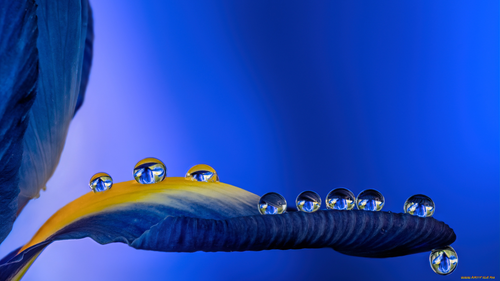 разное, капли, , брызги, , всплески