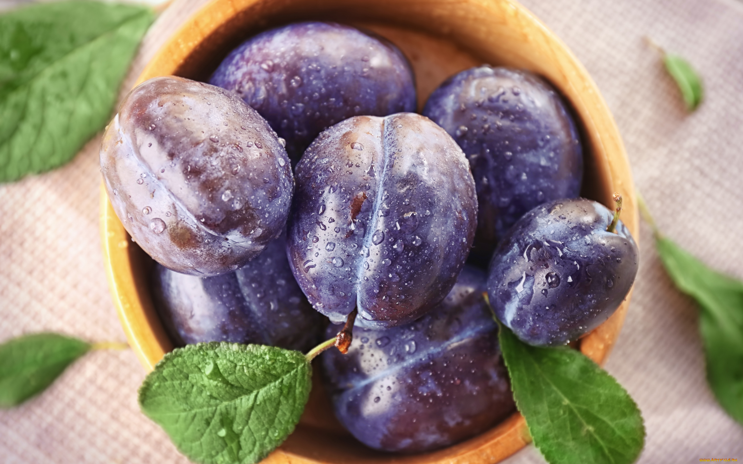 еда, персики, , сливы, , абрикосы, миска, сливы, синие, капли, макро