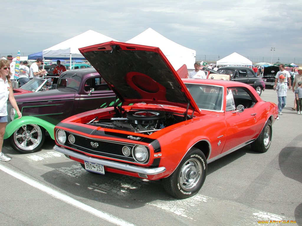 chevrolet, camaro, ss, 350, автомобили, выставки, уличные, фото