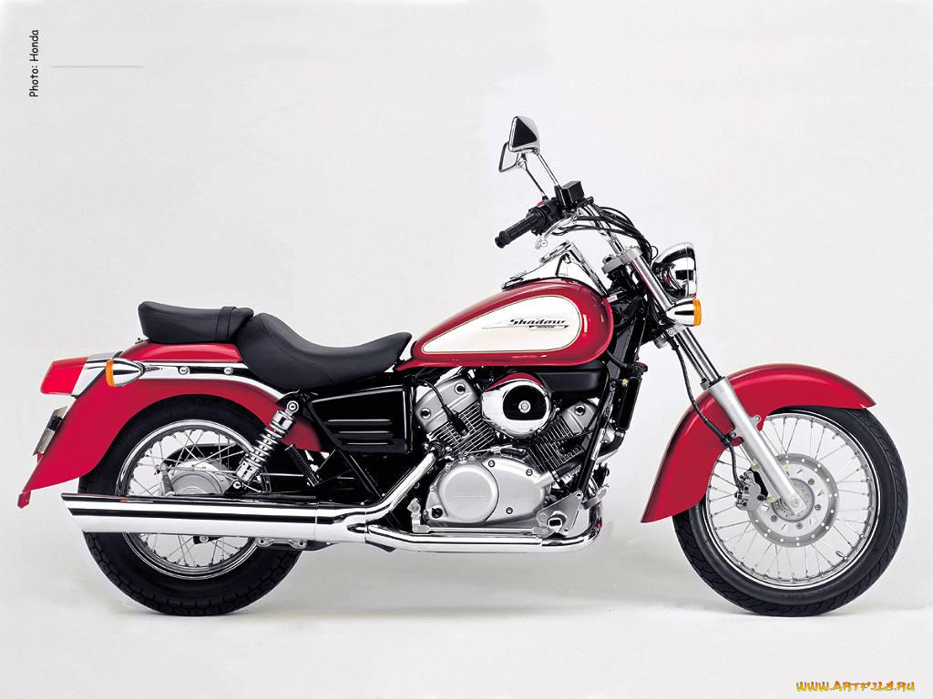 honda, shadow, мотоциклы