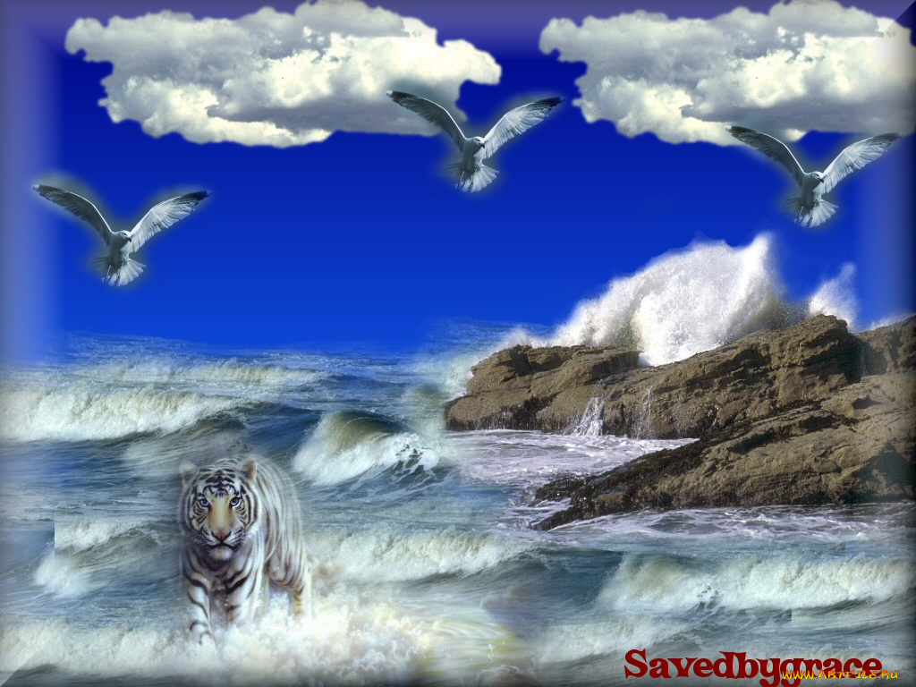 разное, компьютерный, дизайн