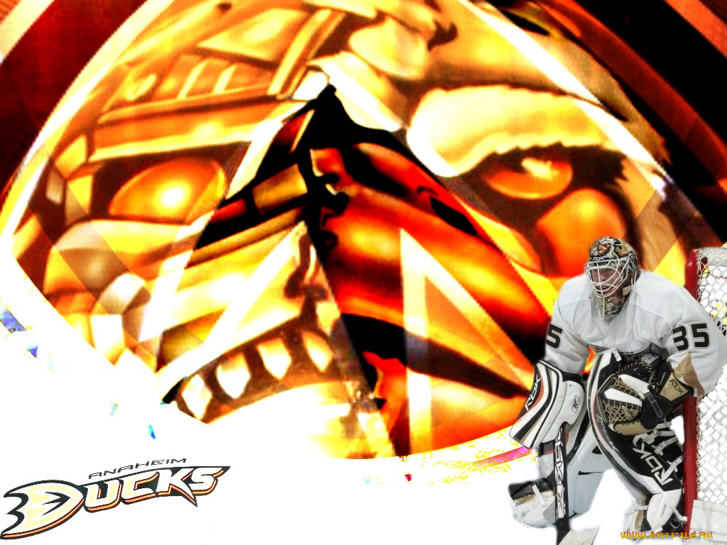 duck, спорт, nhl