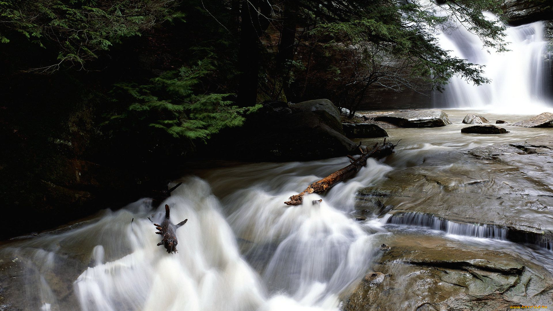 природа, реки, озера