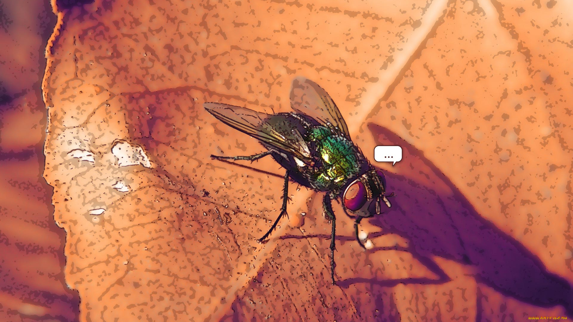 векторная, графика