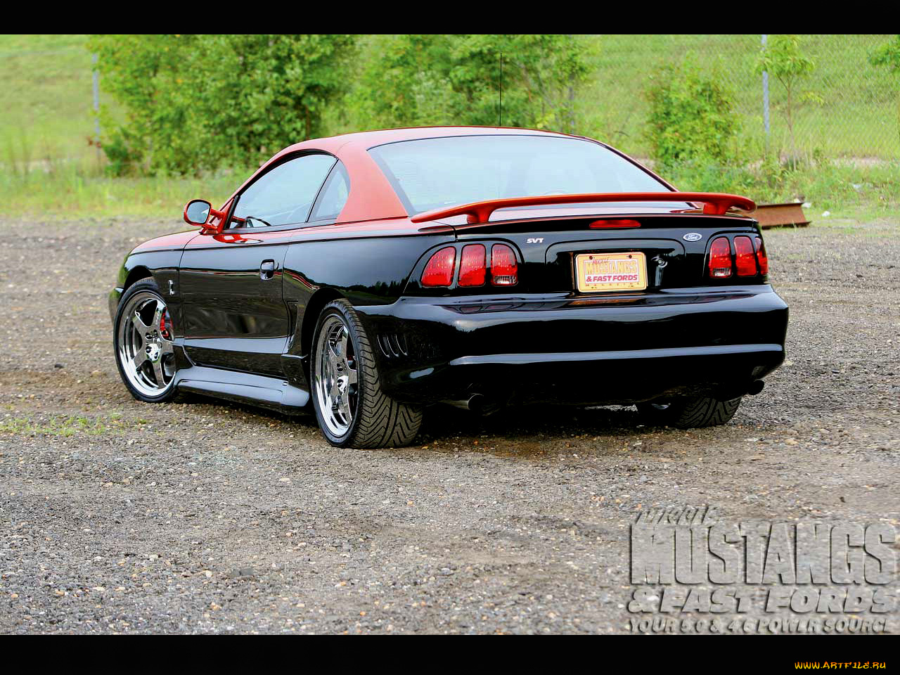 автомобили, mustang