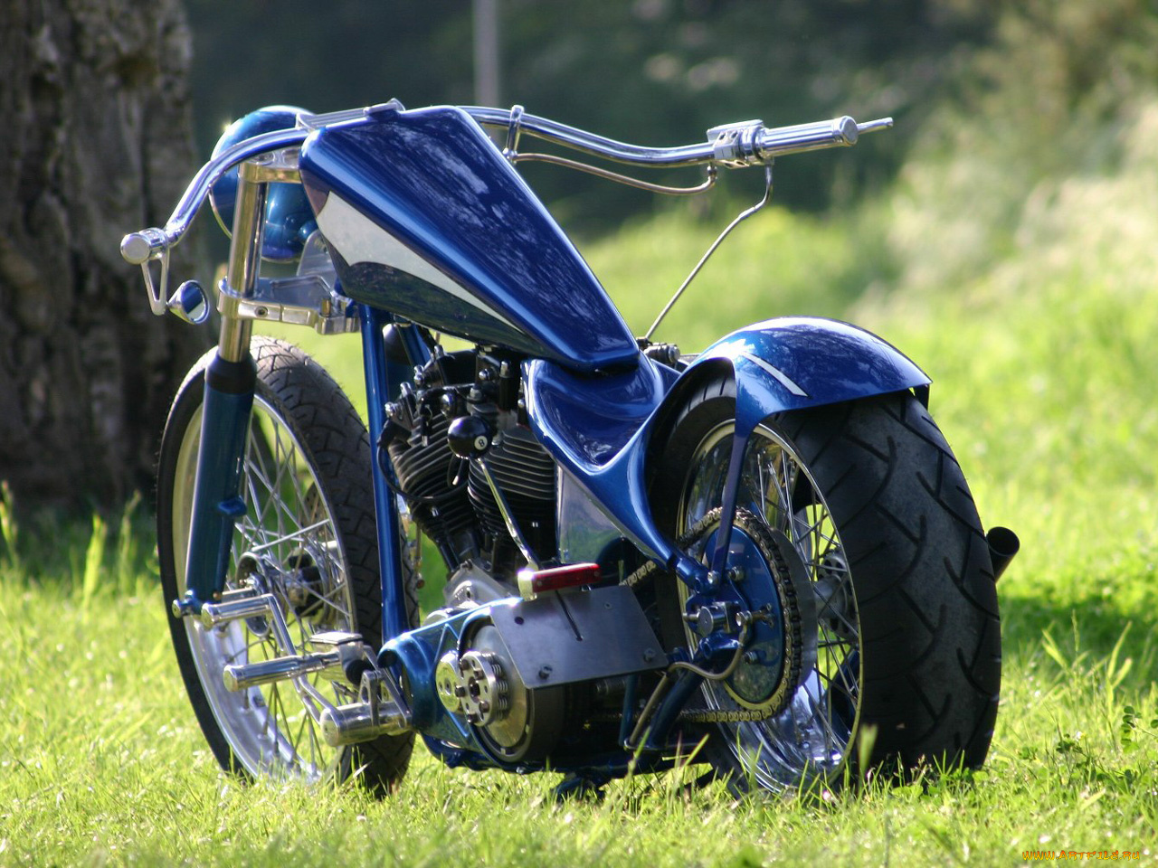 мотоциклы, customs