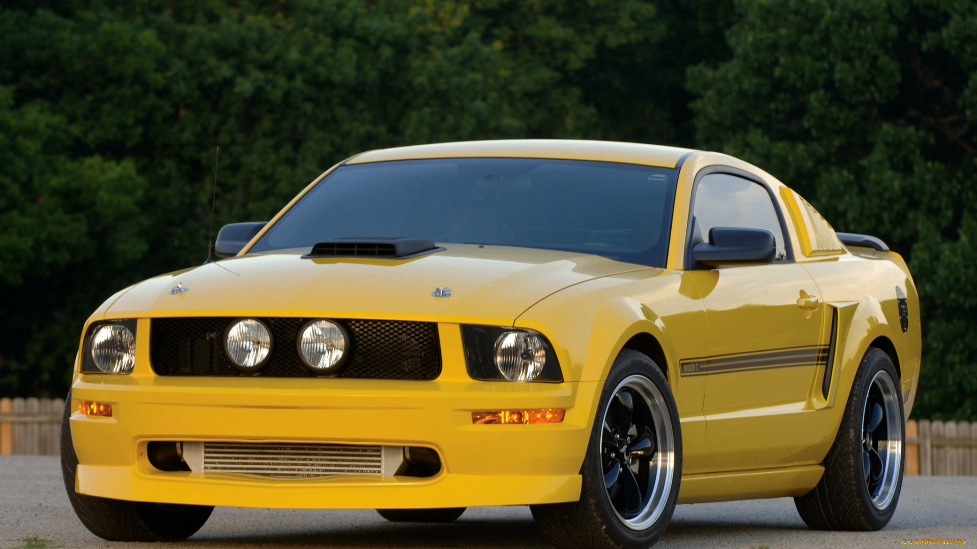 автомобили, mustang