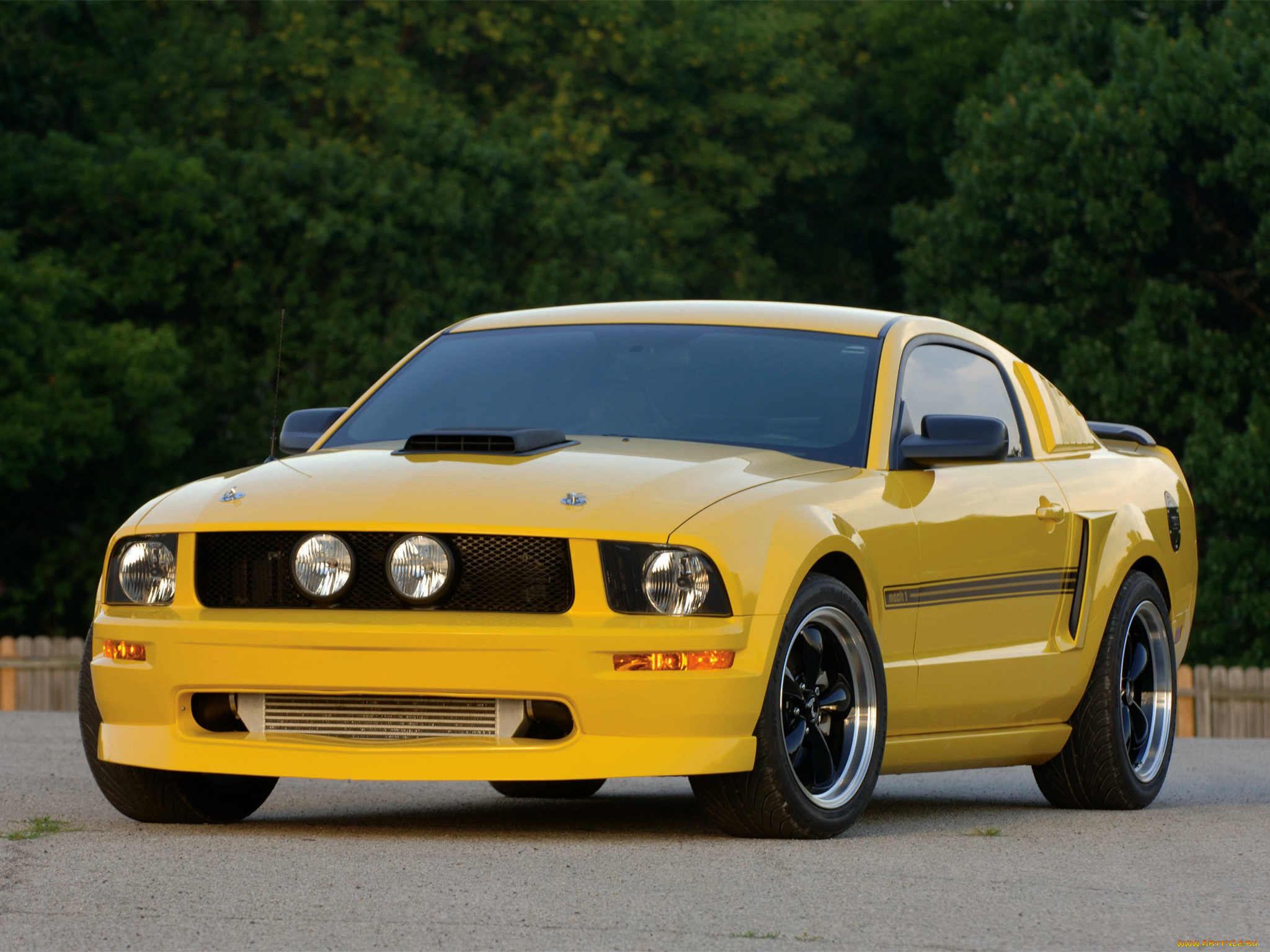 автомобили, mustang