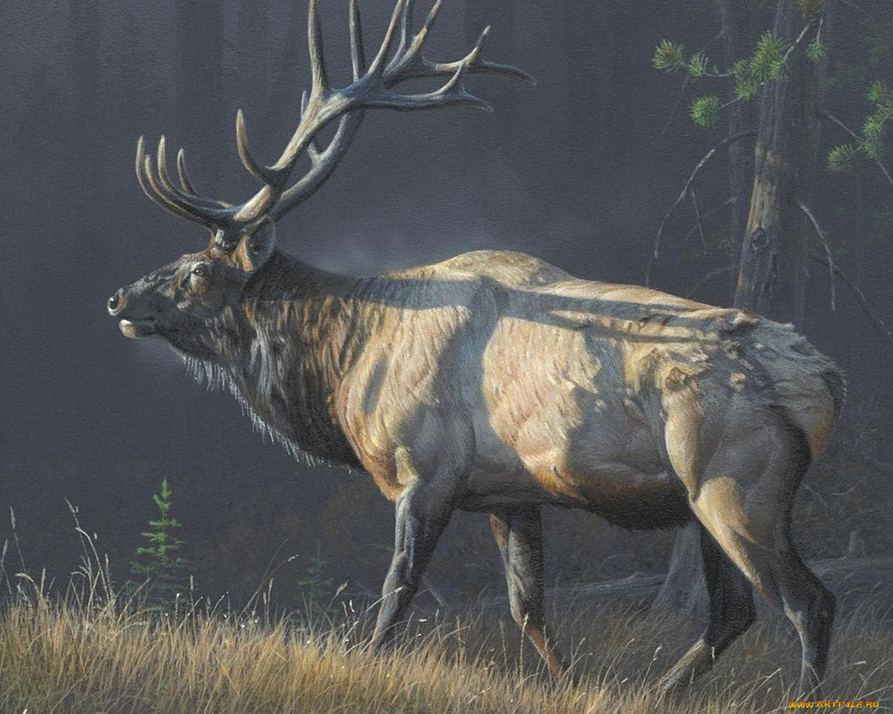 рисованные, животные