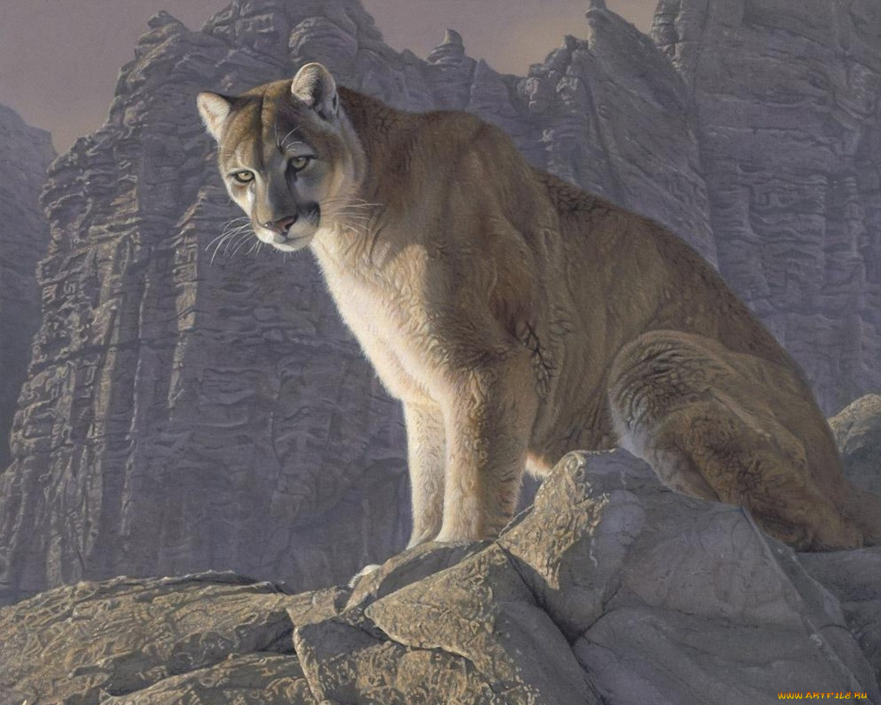 рисованные, животные