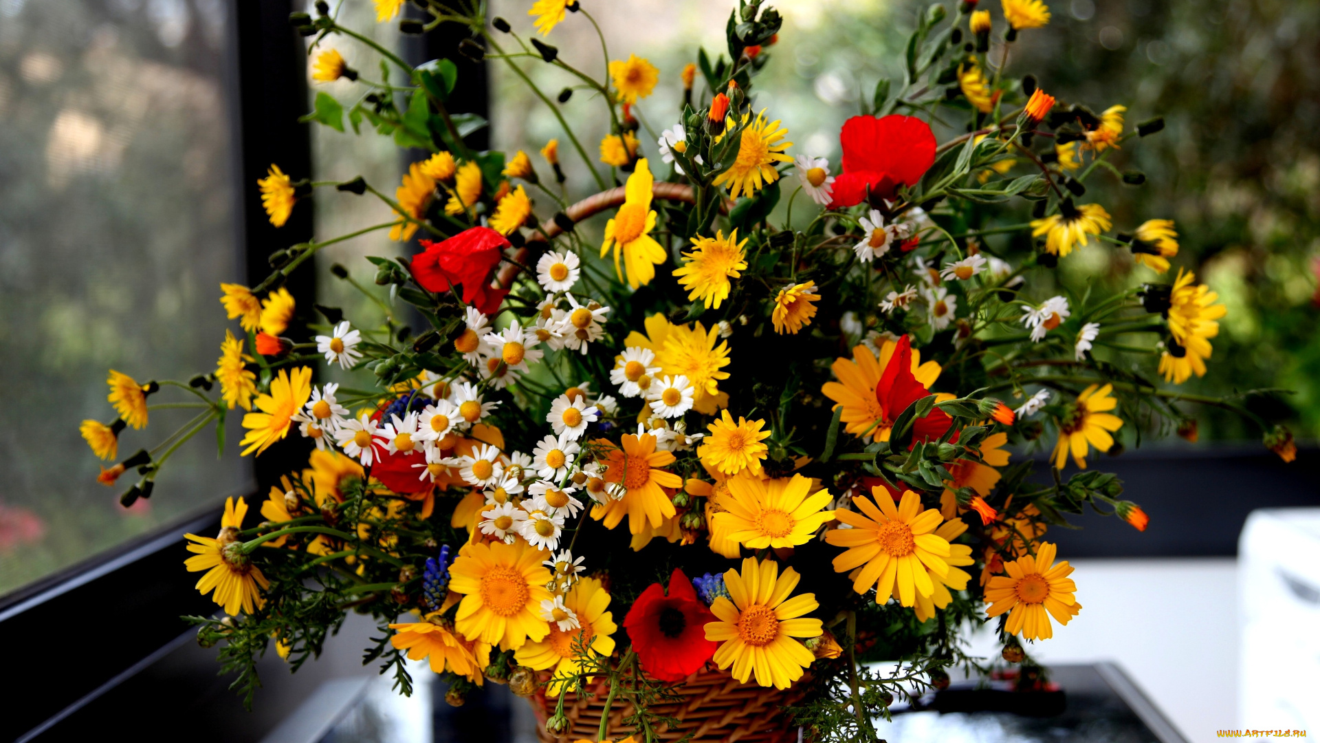 цветы, букеты, композиции, маки, корзинка, ромашки, яркий, мускари