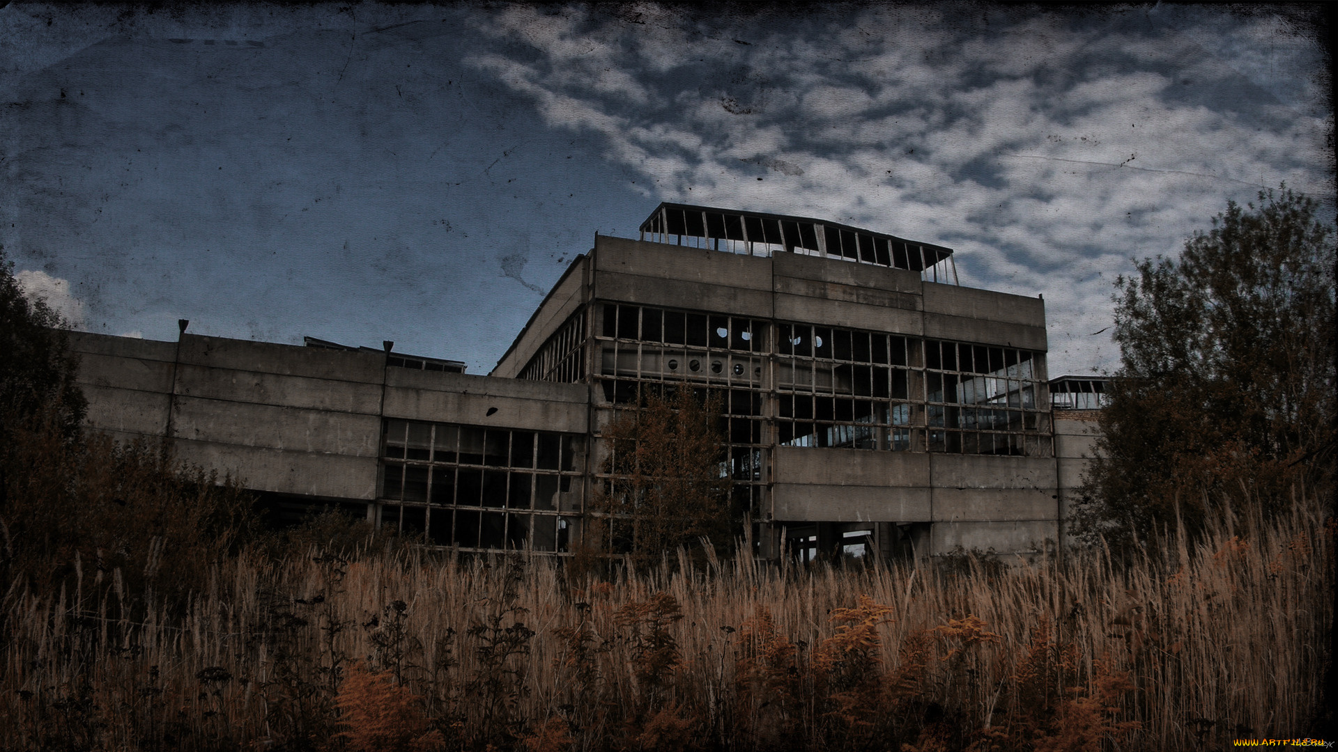 видео, игры