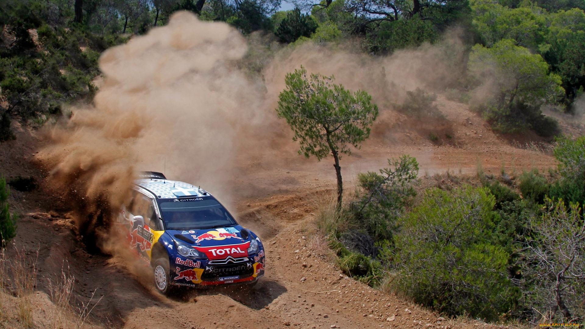 спорт, авторалли, rally, ds3, citroen, sport, car, wrc, трасса, капот, занос, деревья, соревнования