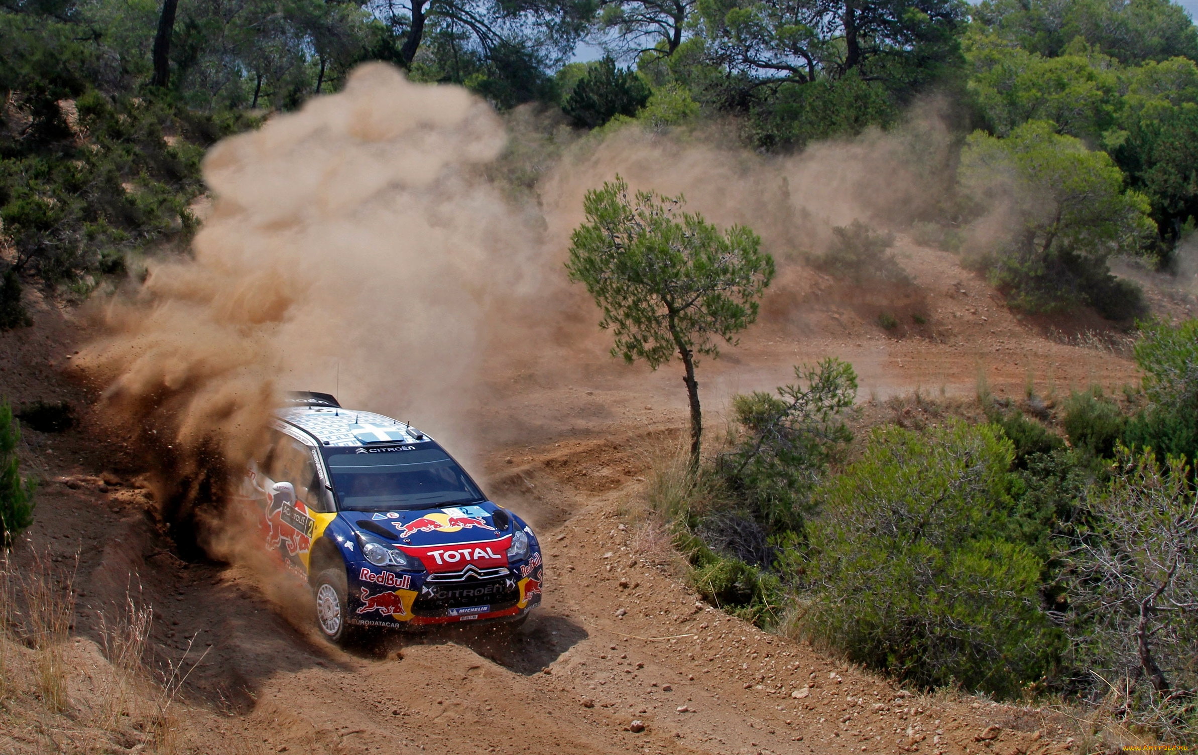 спорт, авторалли, rally, ds3, citroen, sport, car, wrc, трасса, капот, занос, деревья, соревнования